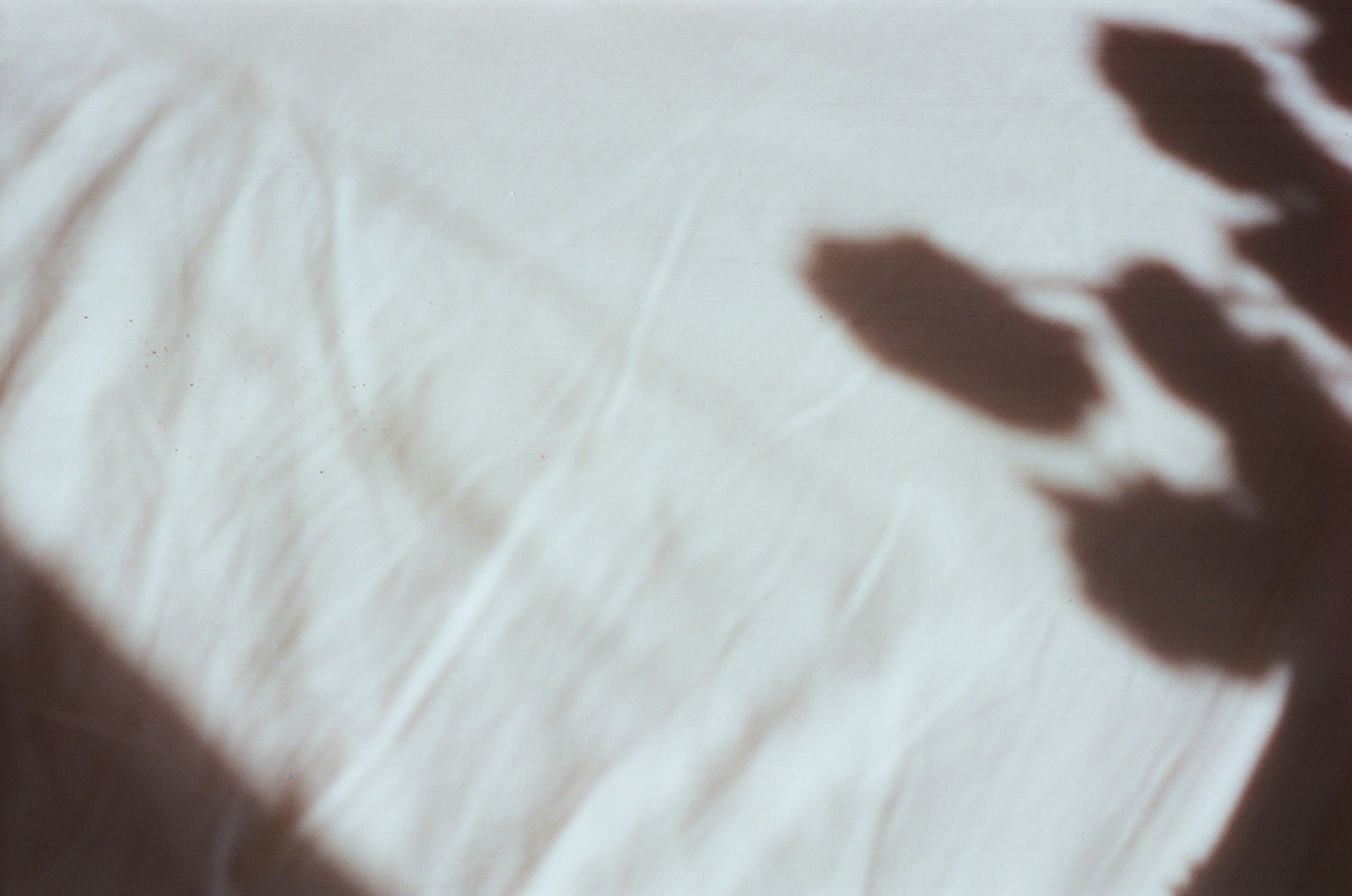 Портфолио. Мария Баракова