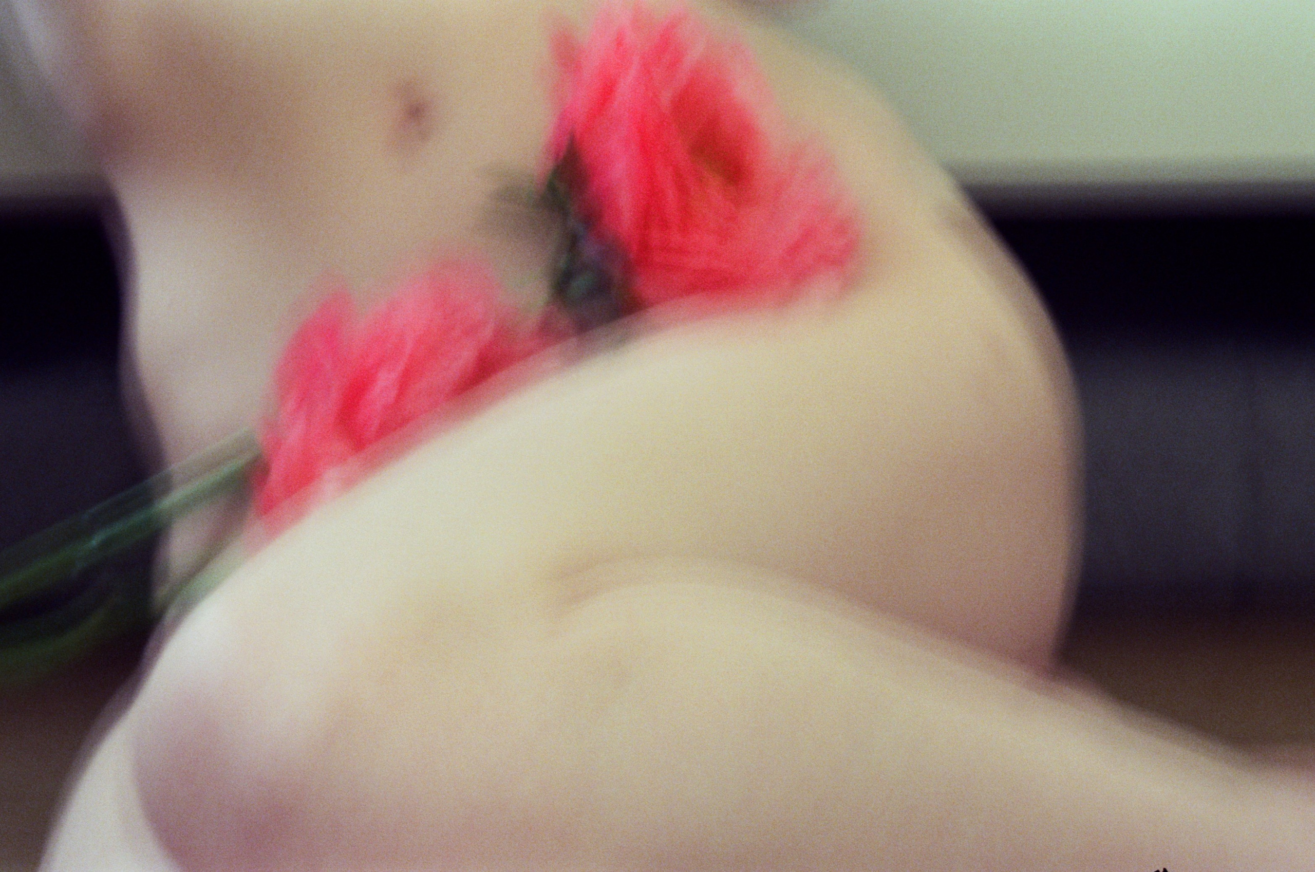 Портфолио. Мария Баракова