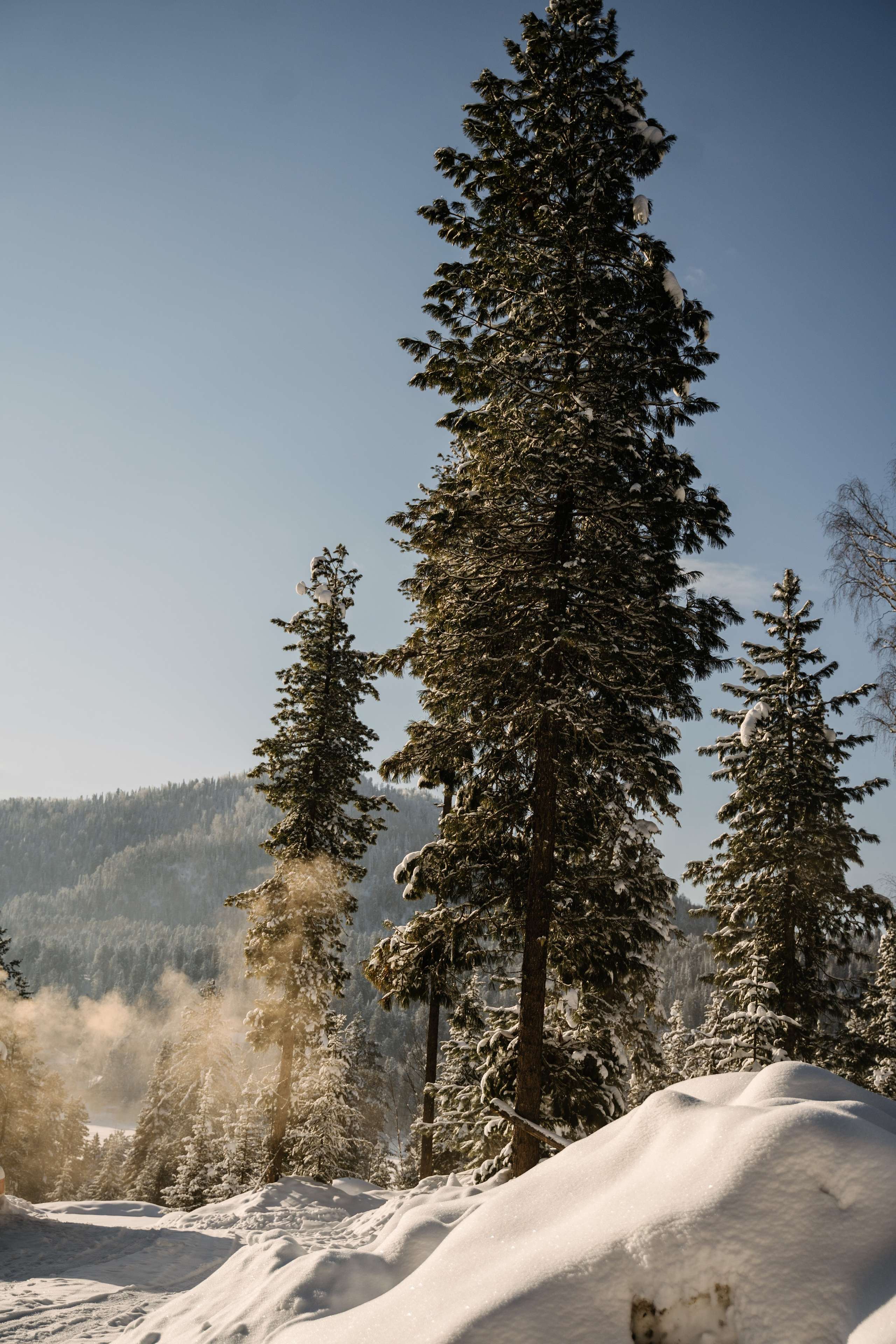 Гостевой дом София. Фотограф Ольга Пучкова