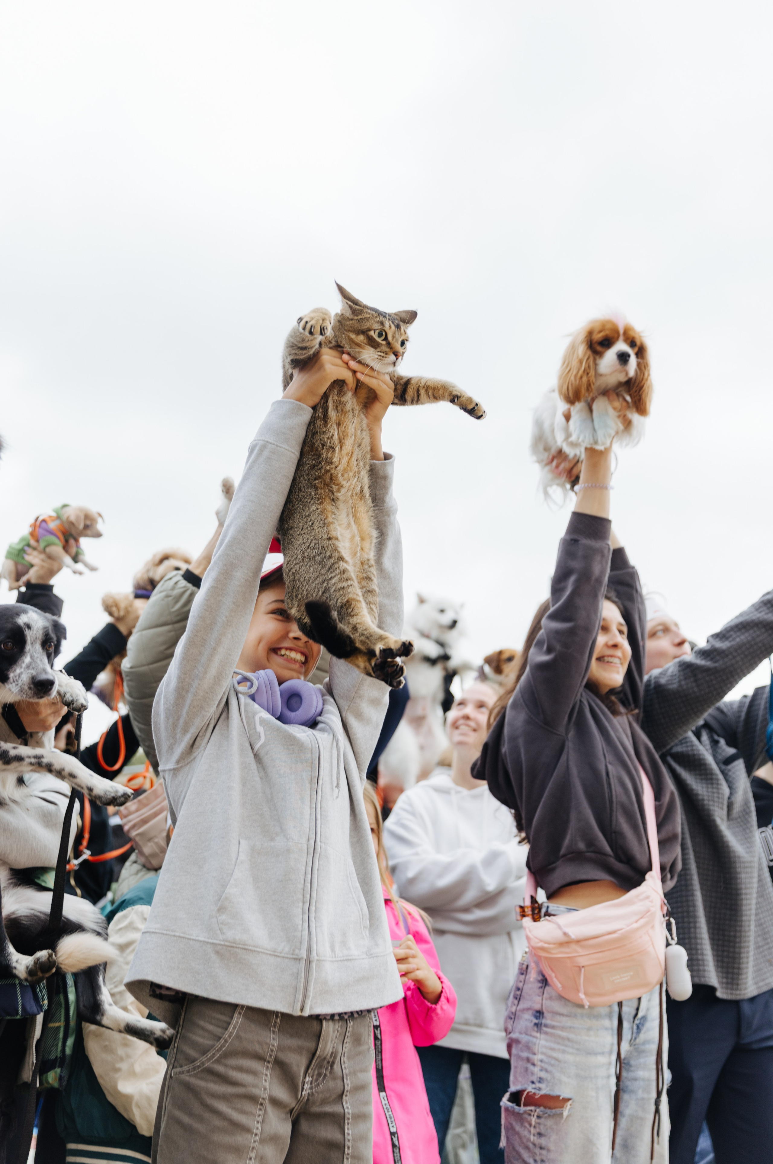 Хвостатый репортаж. Аксана Лисовская фотограф в Москве. Фотографии с характером