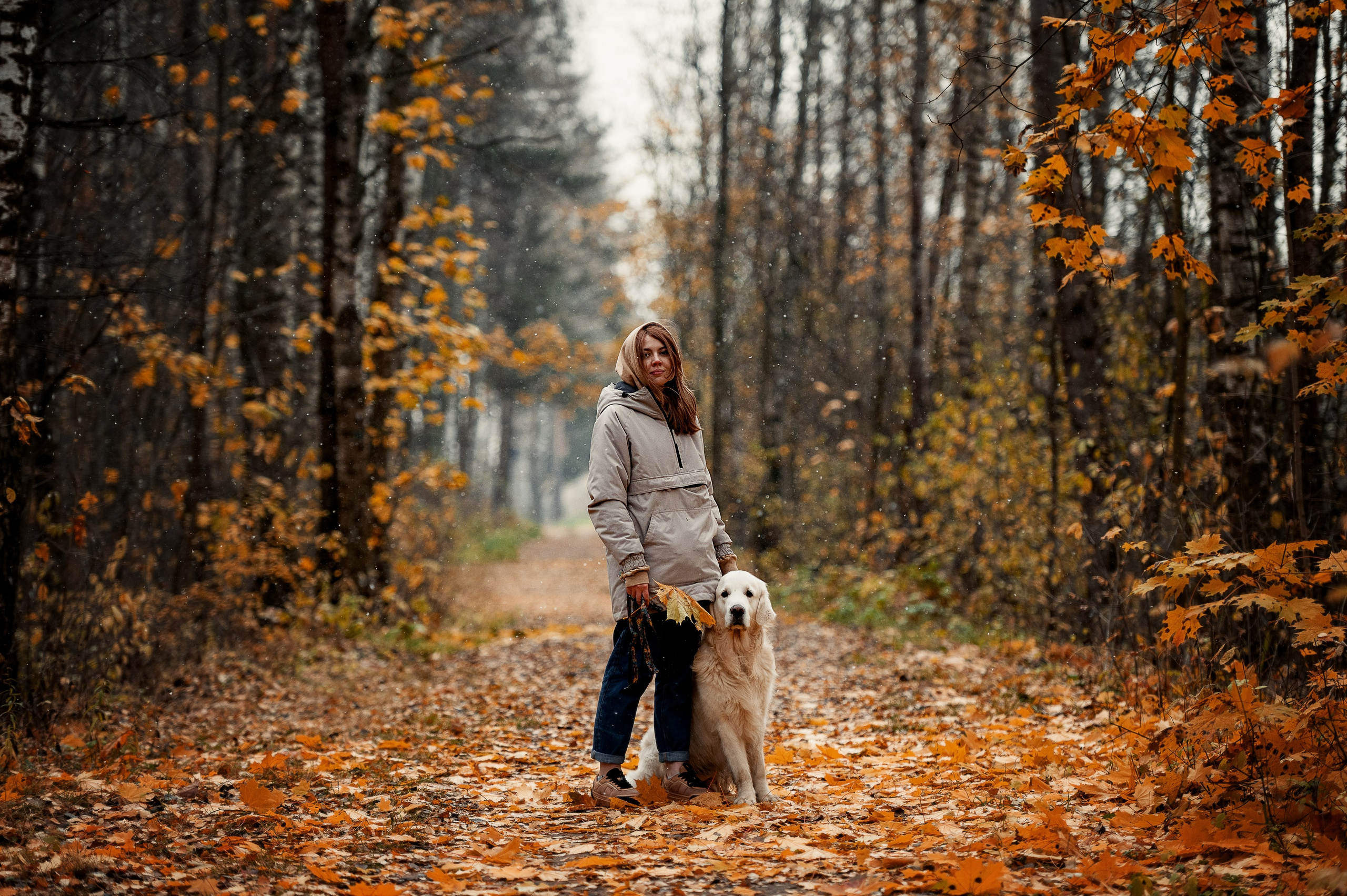 Айс и золотая осень. Фотограф-анималист