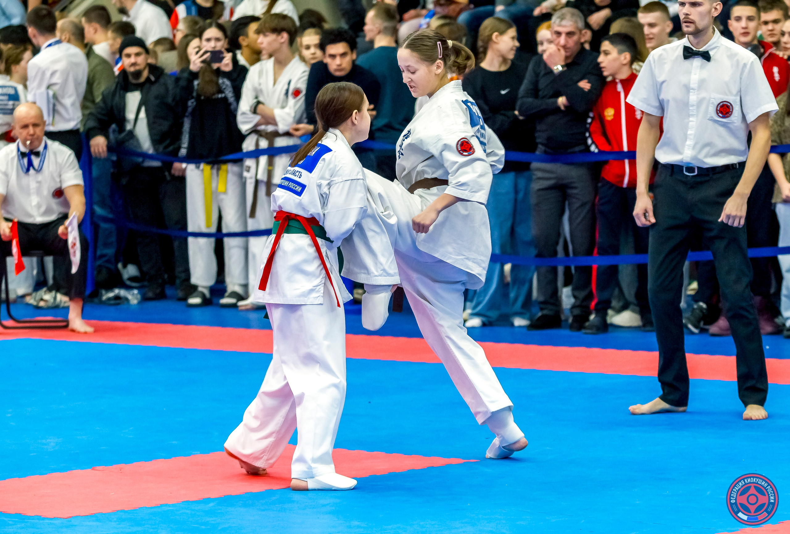 Международный турнир по киокушин «Открытый кубок Seiken». Репортажная съемка в Москве и области. Анималистика