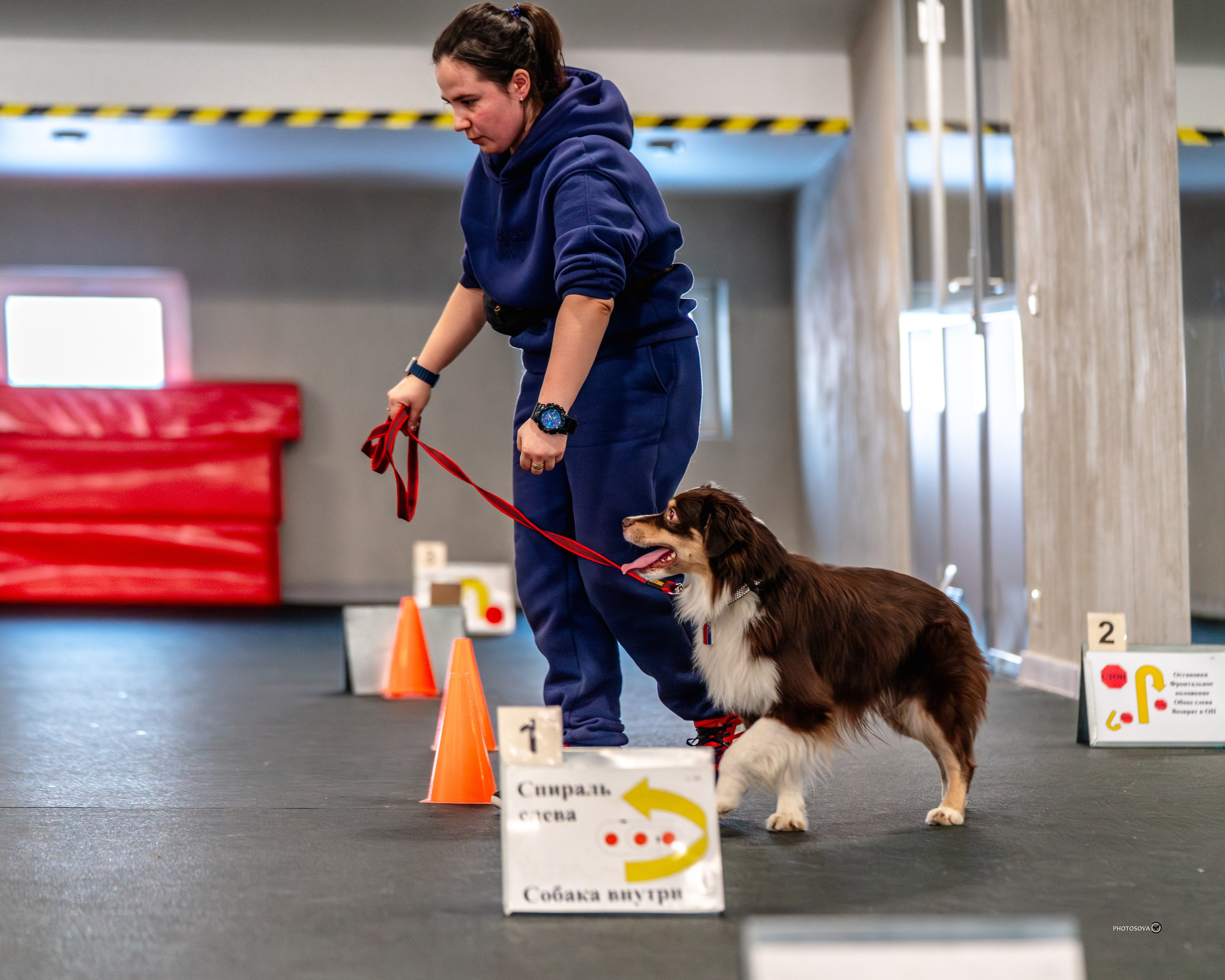 ТЫ И Я (соревнования по ралли-обидиенс). Фотограф-анималист, семейный фотограф в Москве и Подмосковье. Фотосъёмка кинологических дисциплин