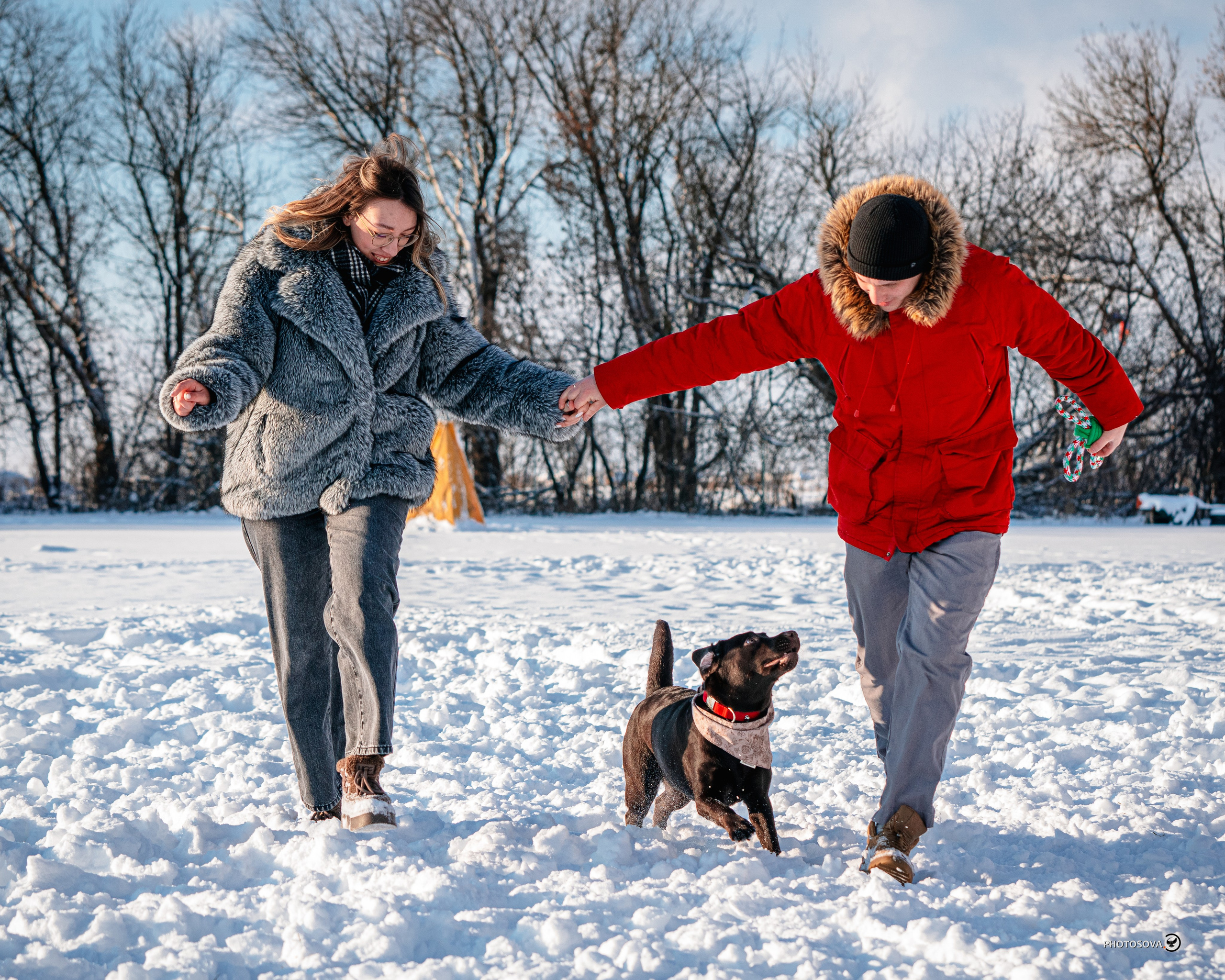 ФОТОПАМЯТЬ ВАШИХ ЭМОЦИЙ. Фотограф-анималист, семейный фотограф в Москве и Подмосковье. Фотосъёмка кинологических дисциплин