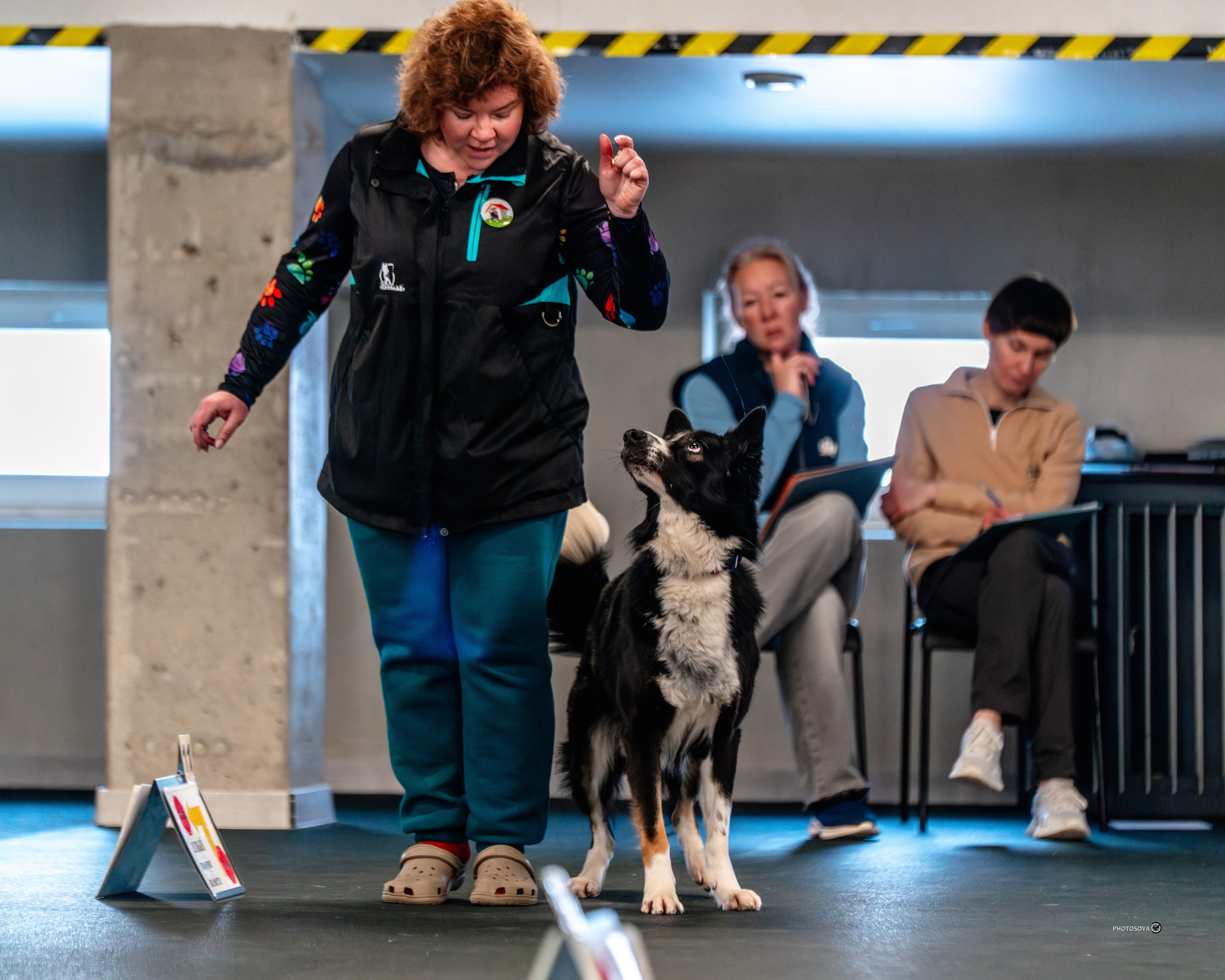 ТЫ И Я (соревнования по ралли-обидиенс). Фотограф-анималист, семейный фотограф в Москве и Подмосковье. Фотосъёмка кинологических дисциплин