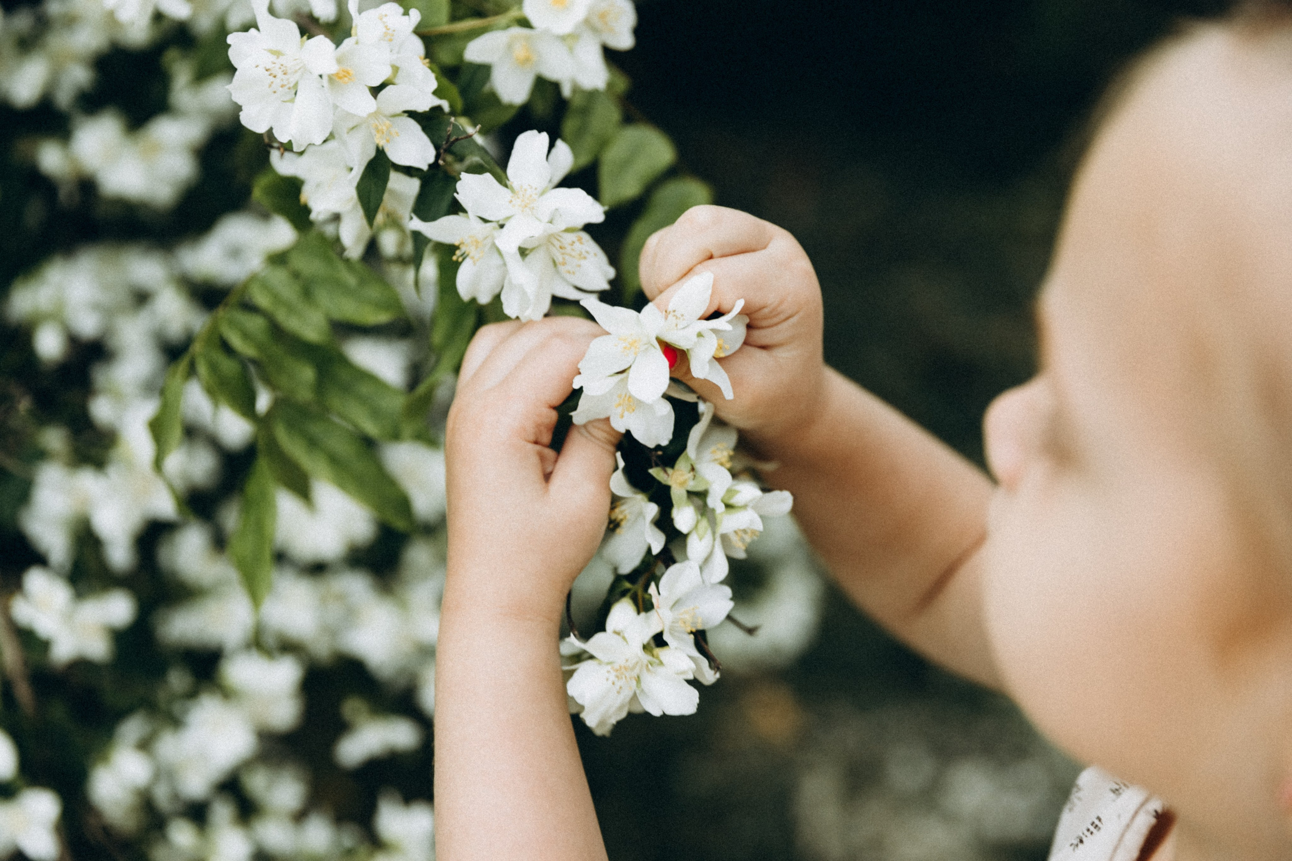 Яна, Полина и Мия. Фотограф Сочи Адлер Красная Поляна Ошутина Анастасия