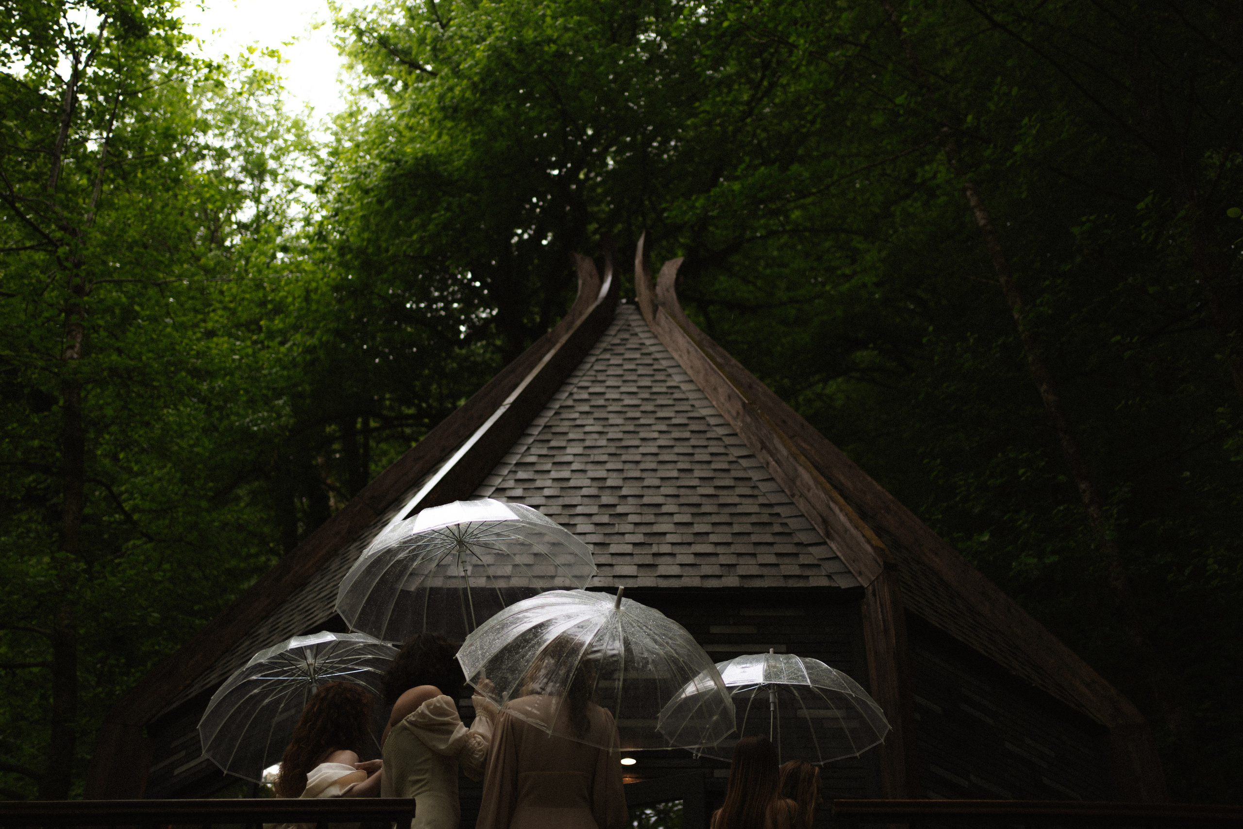 Прячься! Дождь идёт. Сочи. 2024. Никита Погосов