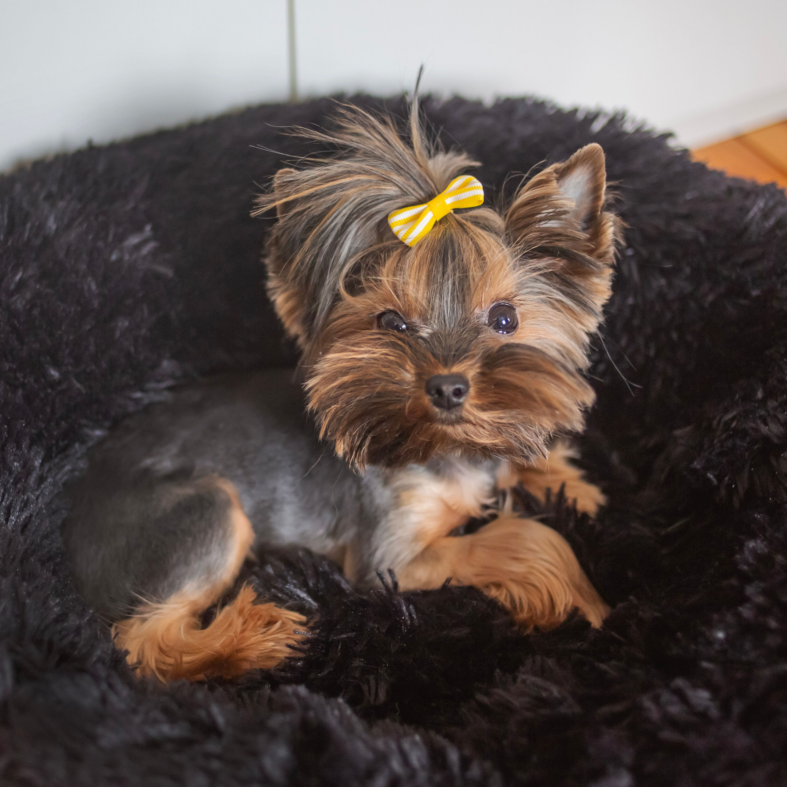 Предметная съемка. Семейный и детский фотограф в Москве и МО — Александра