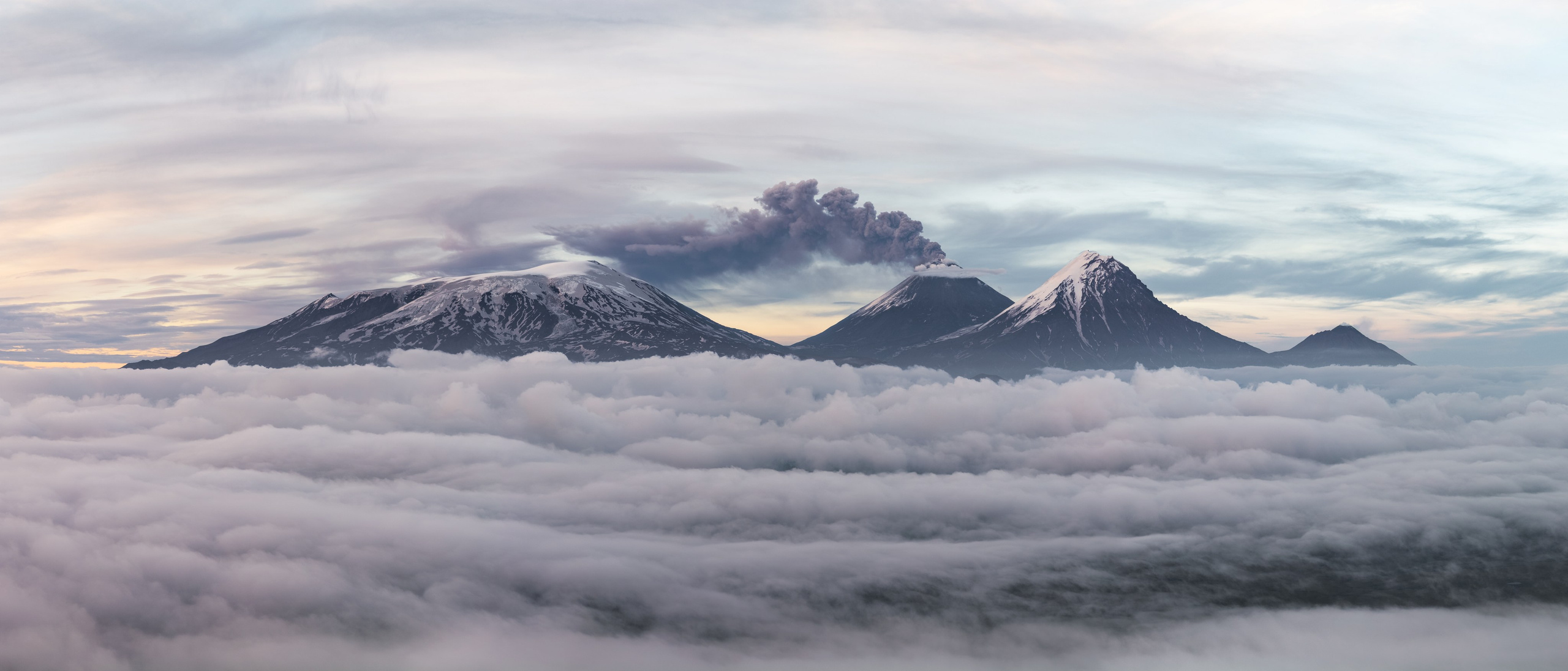 Портфолио. Daria wanderer photography