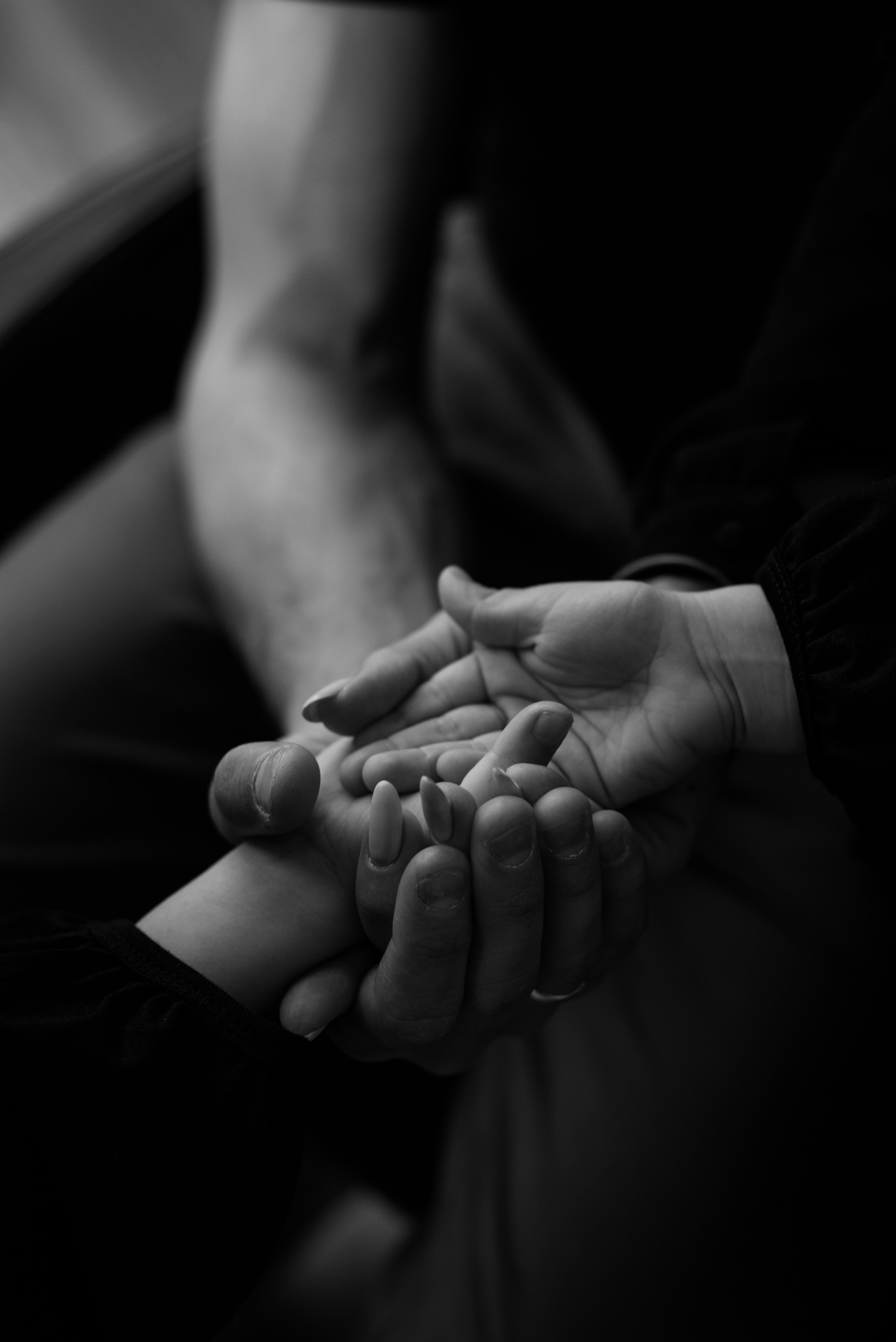 #ёлки_и_всё_такое. Фотограф Ульяновск Ксения Холматова