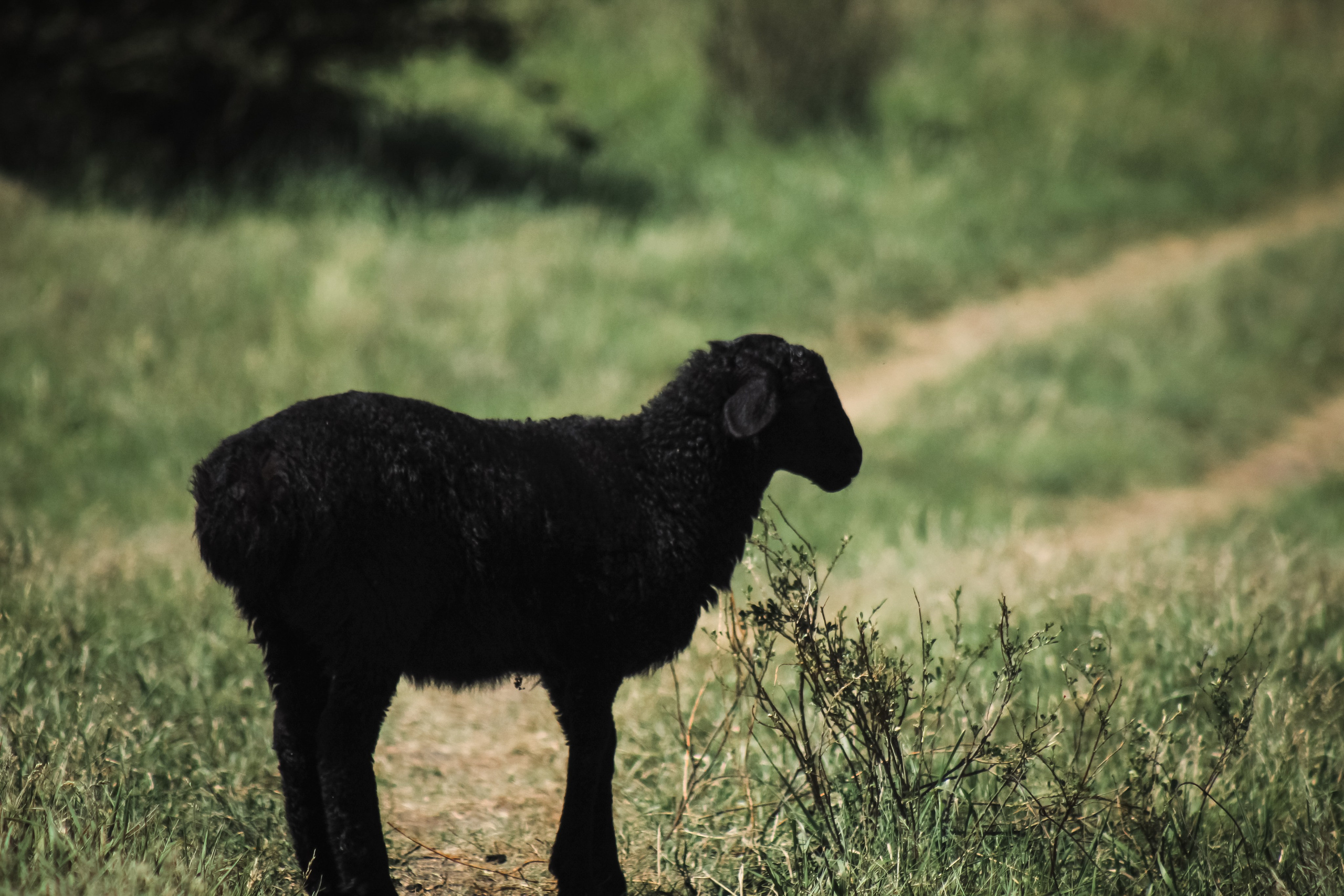 Маёвка. Илья Чемис — Фотограф в Мариуполе