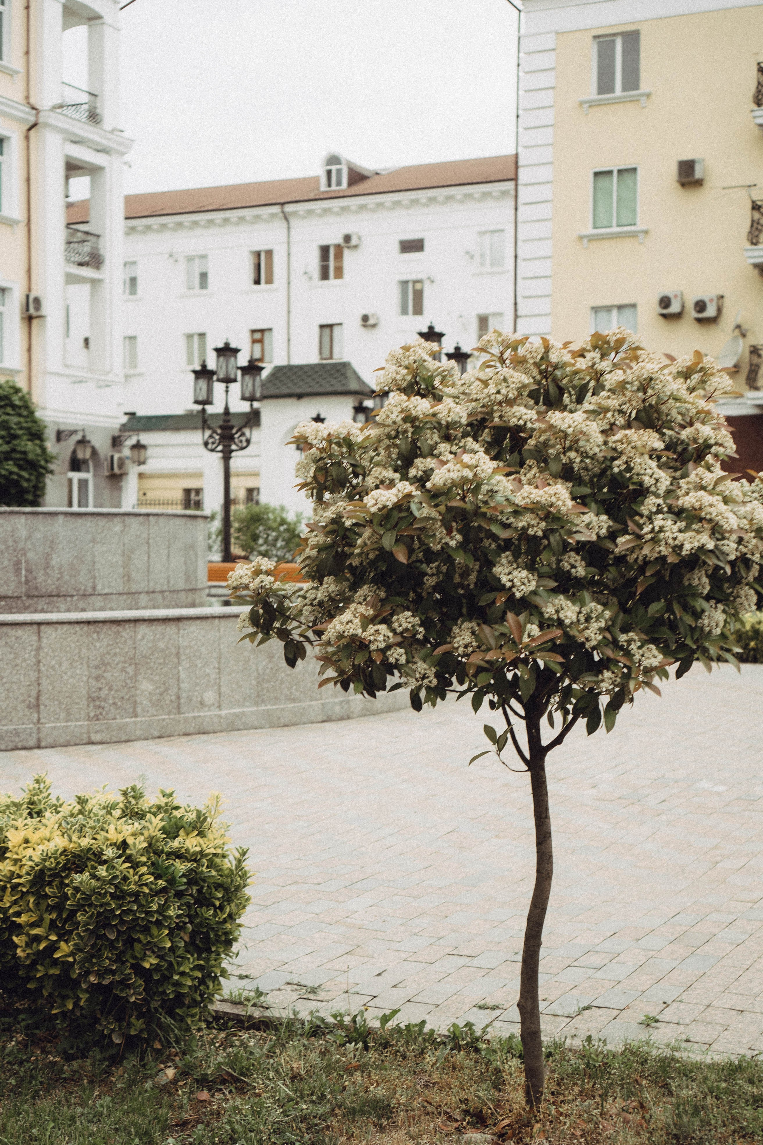 Кавказ. Профессиональный фотограф, Санкт-Петербург — Виктория Богомолова