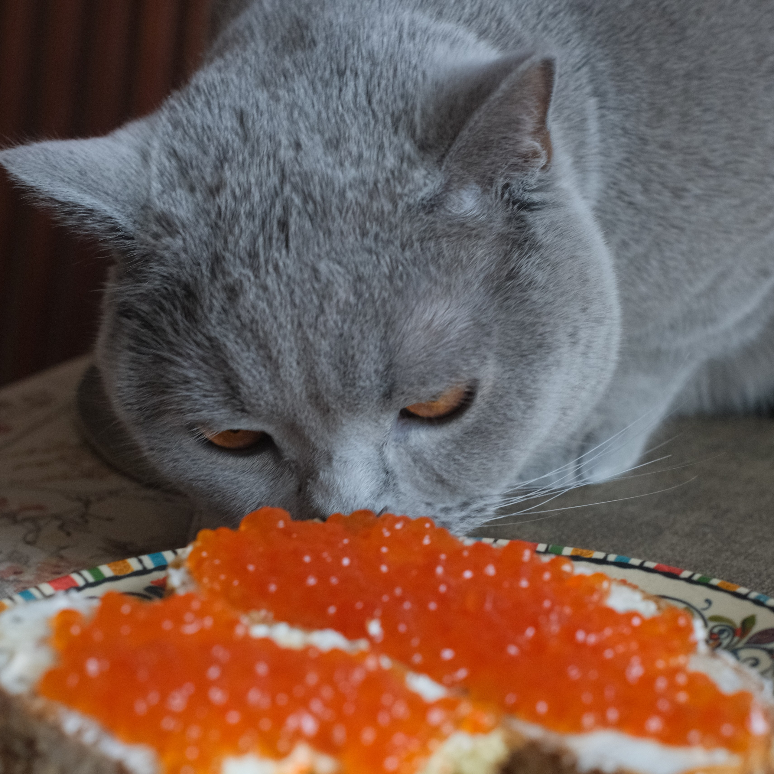 Улица, люди, жизнь…