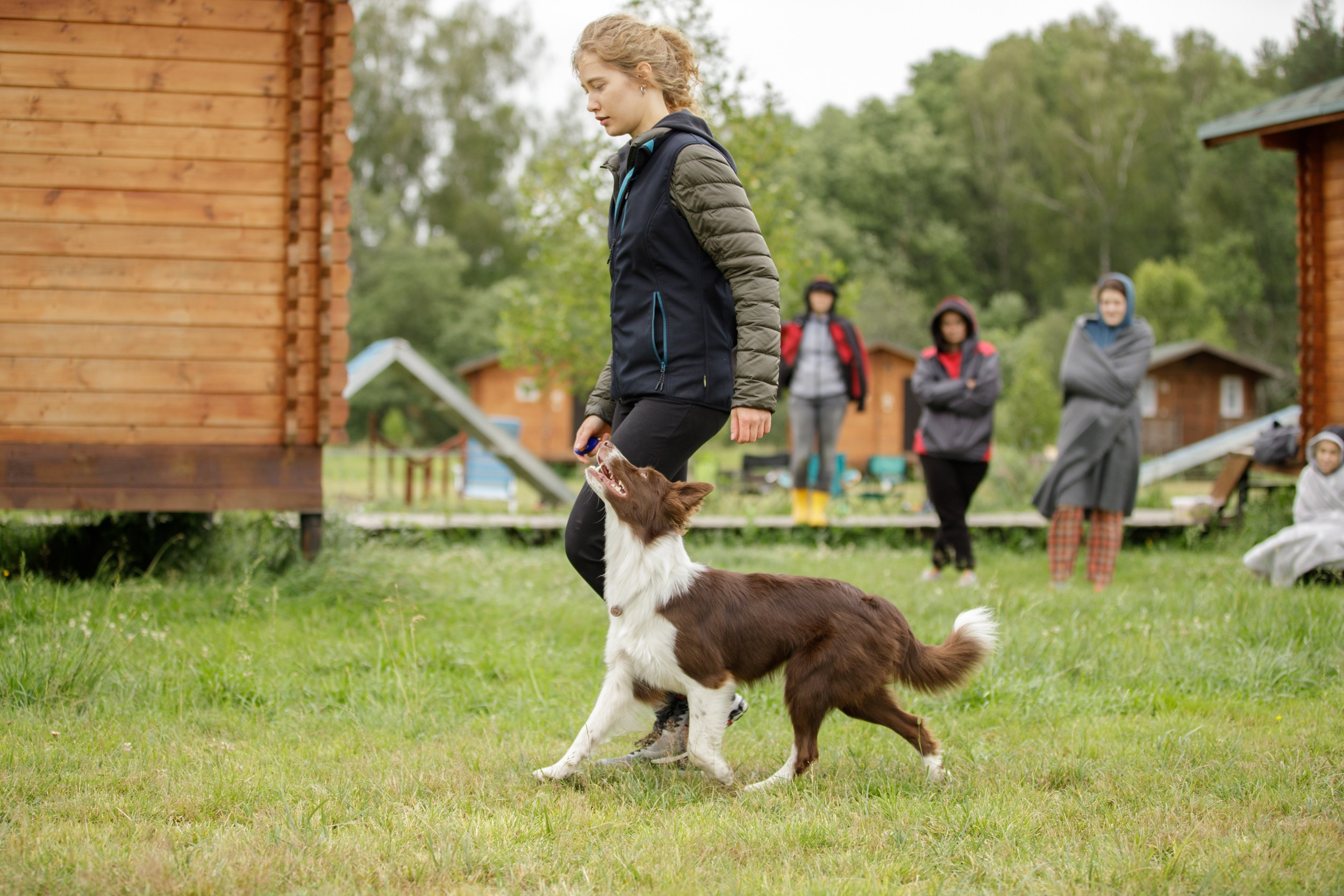 Лиза и Эни. Тренировка в лагере по обидиенс. Фотограф-анималист в Калуге Мария Шерскова