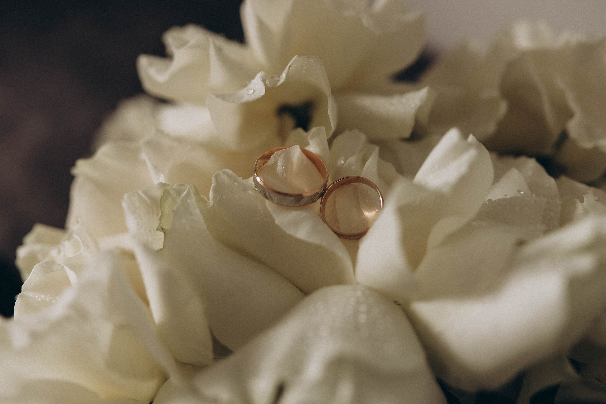 D&N. Свадебный и семейный фотограф Елизавета Артемьева