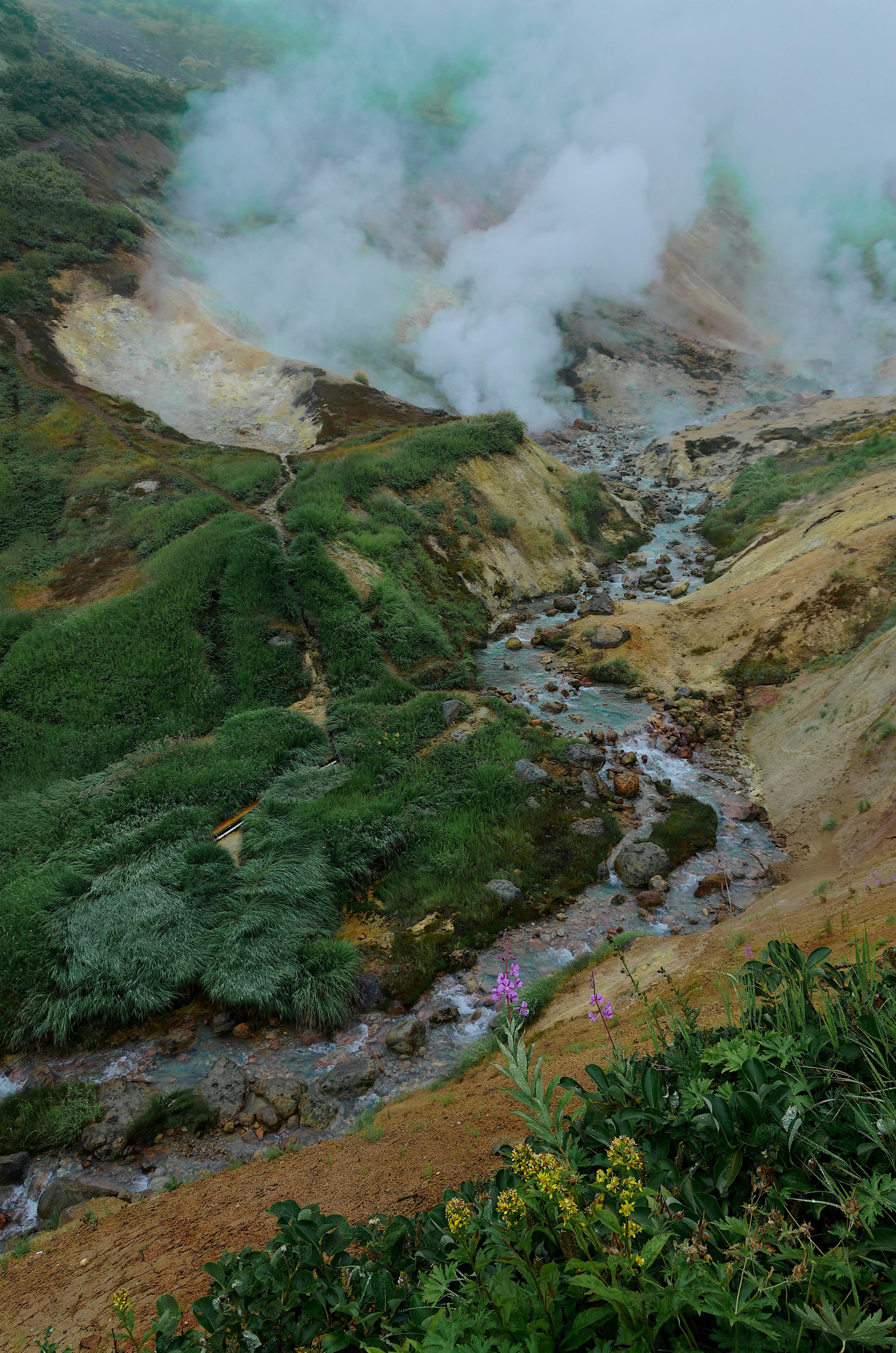 Камчатка, вид на фумароллы и реку Дачных источников