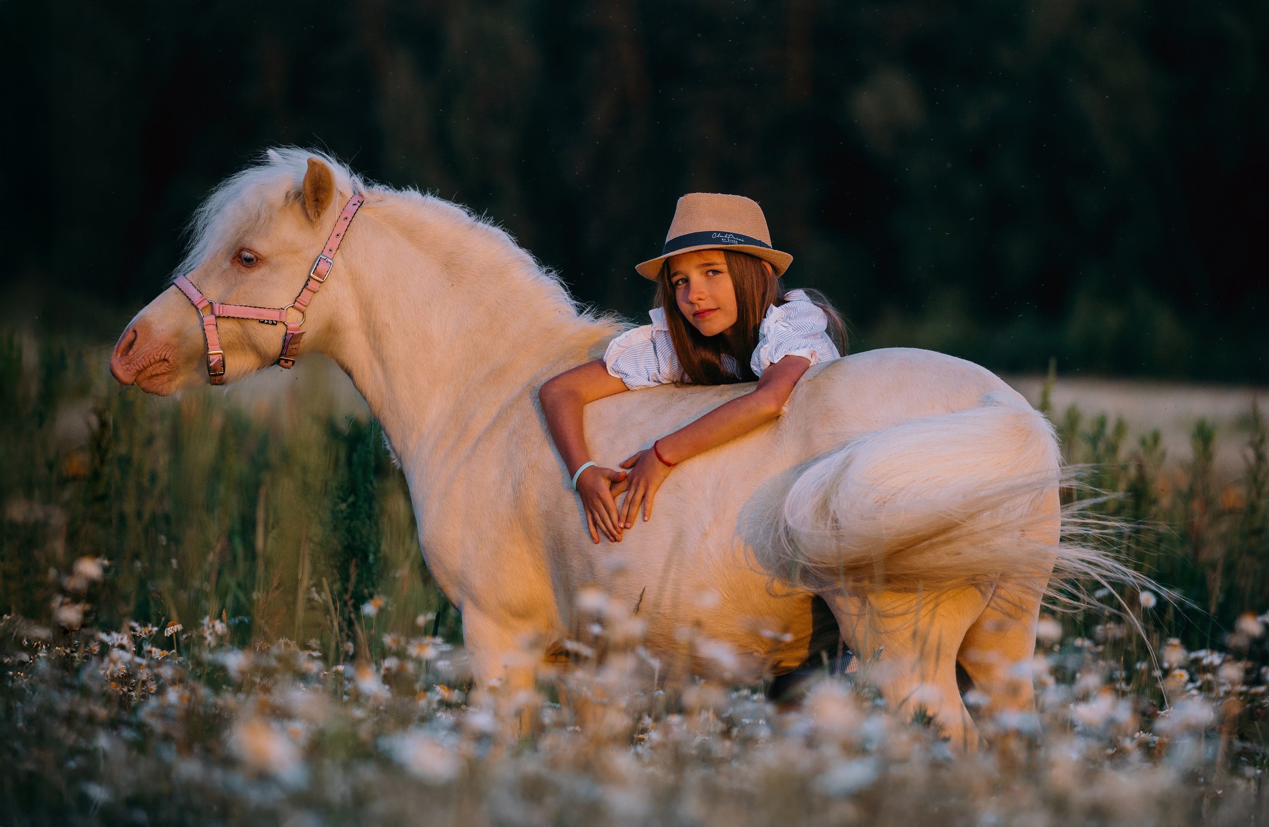 Есения и Макэрия. Фотограф-анималист Ксендзова Кристина
