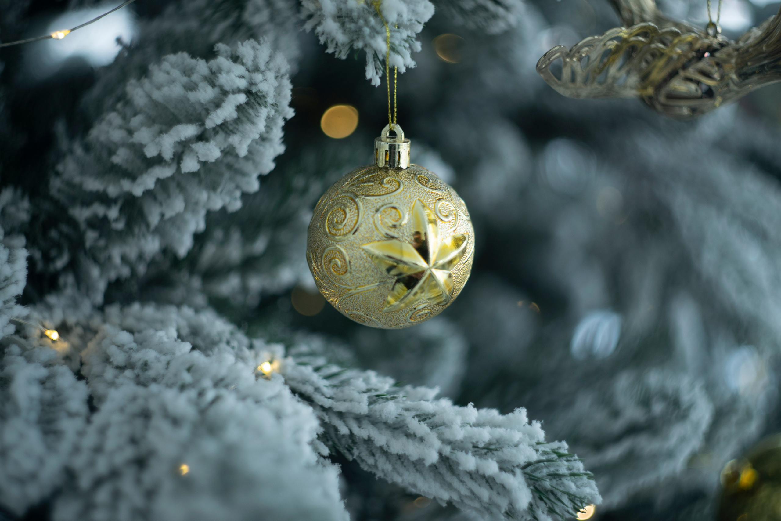 Фотограф в Улан-Удэ, низкие цены. Фотосъемка семейная, детская в городе. Фотограф в Улан-Удэ. Свадебный фотограф в Улан-Удэ