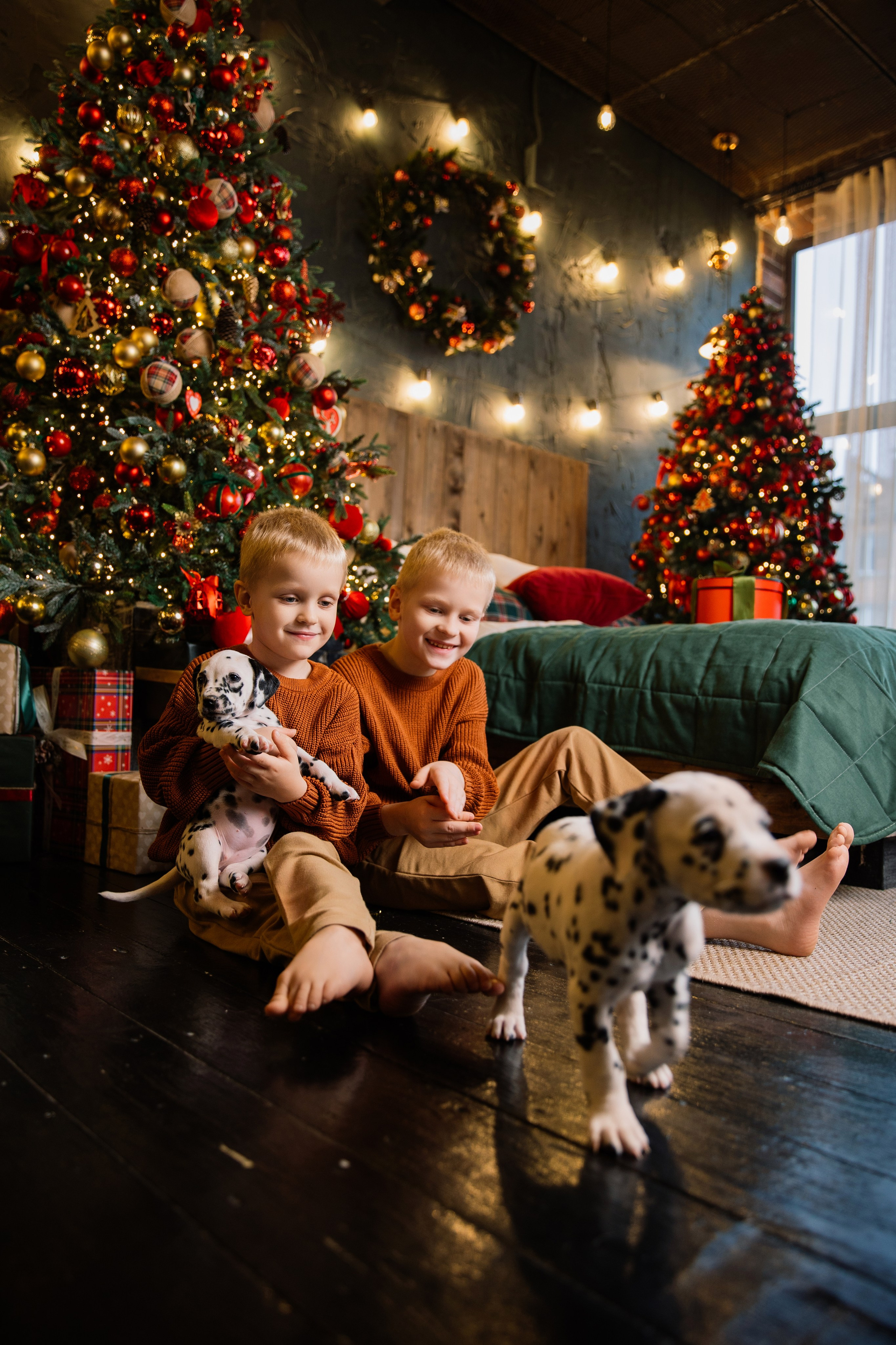Саша и Рома. Семейный фотограф Толстикова Кристина
