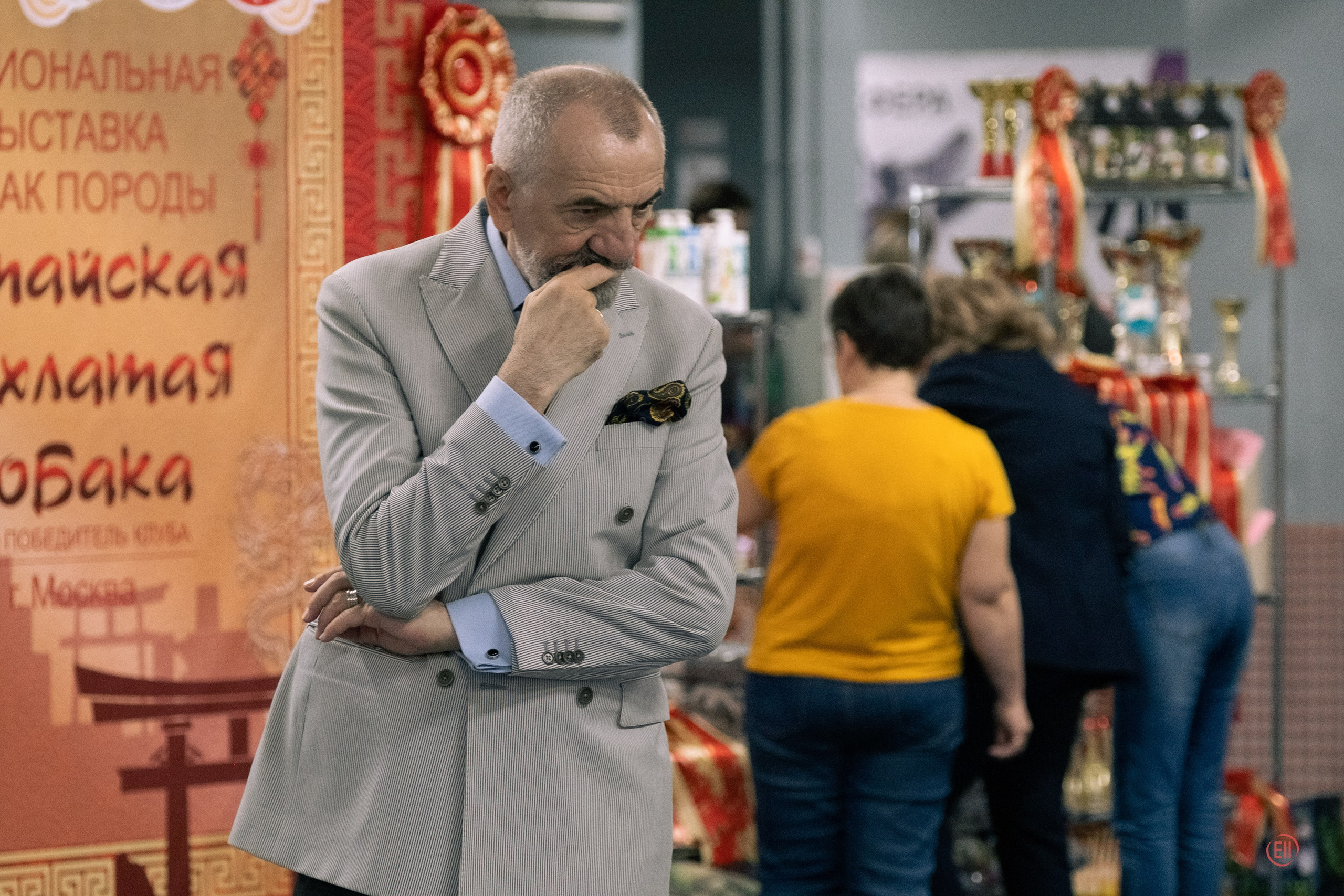 Национальная выставка китайских хохлатых собак 2023. Питомник китайских хохлатых собак Poale Ell: купить щенка