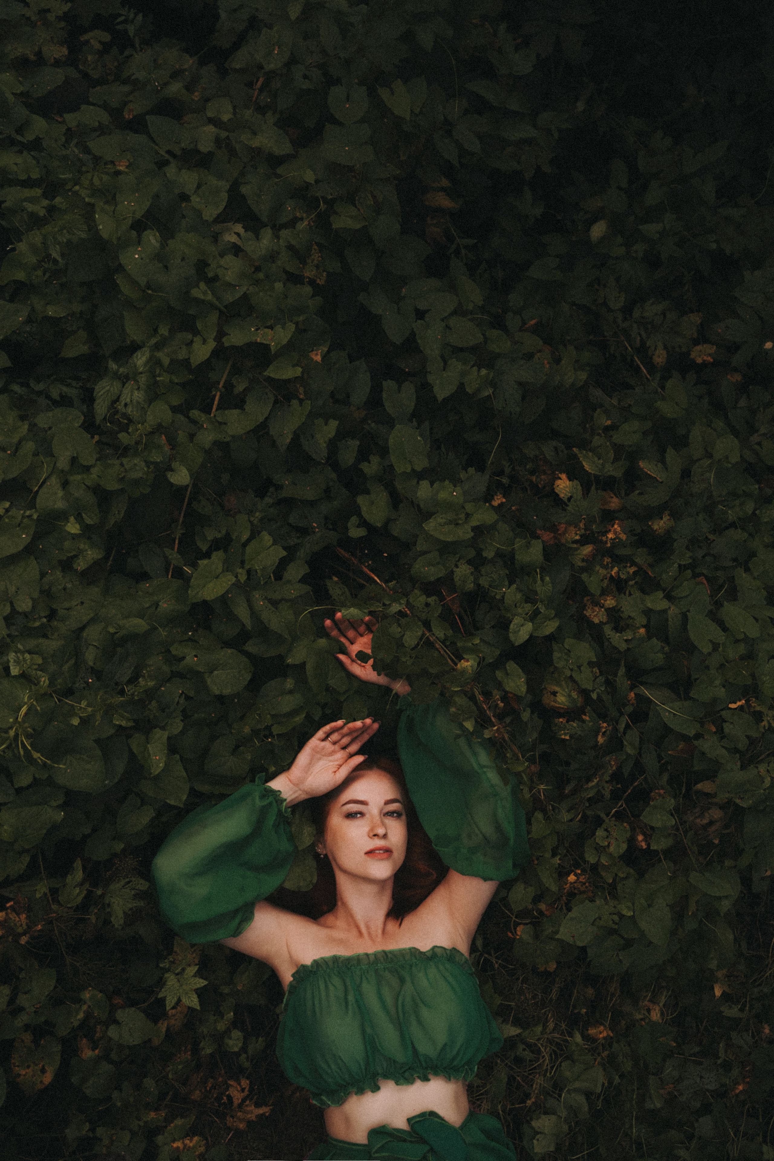 Художественные. Главная