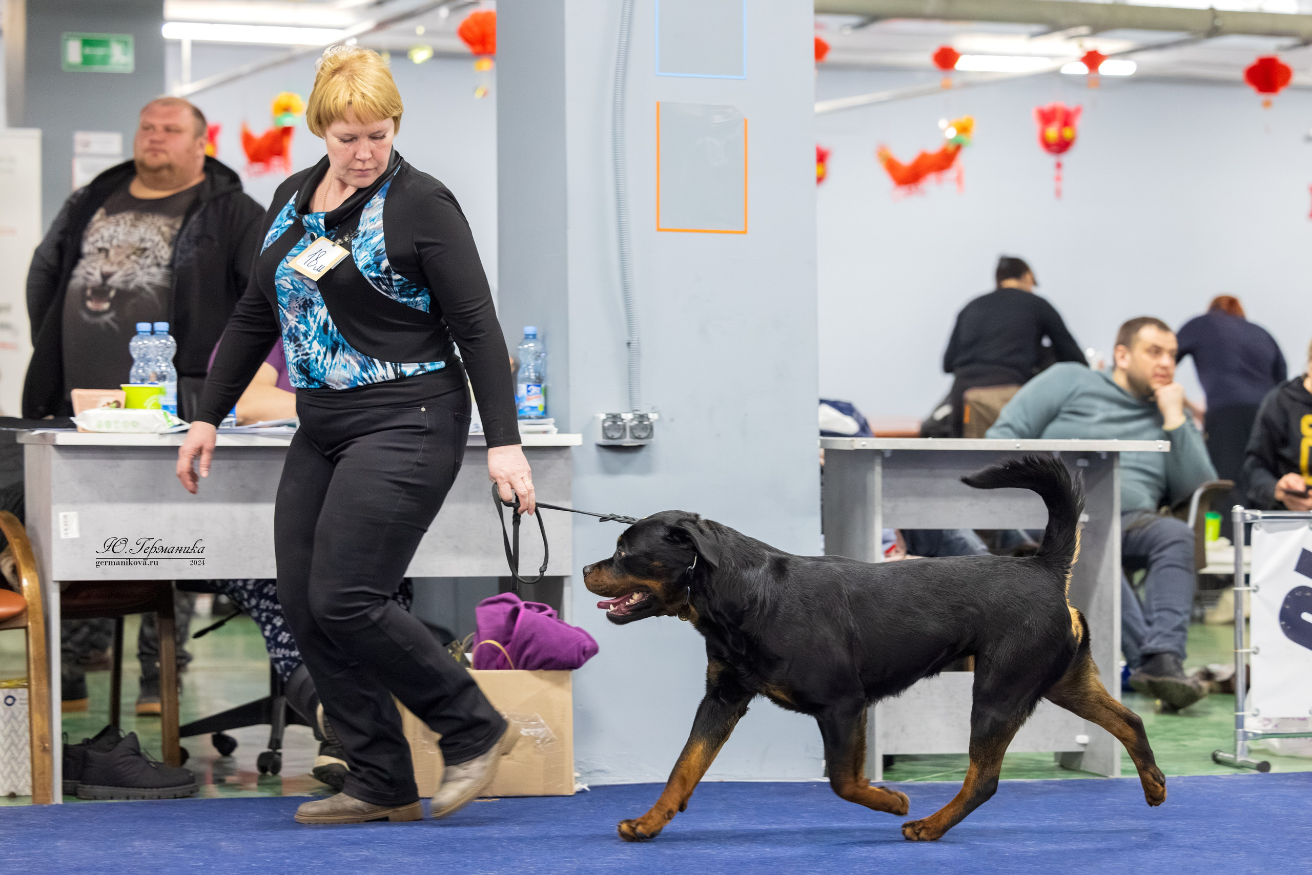 Сфера 08 и 10.03.2024 2хмоно ротвейлеров+2хмоно сао. Фотограф-анималист Юлия Германика
