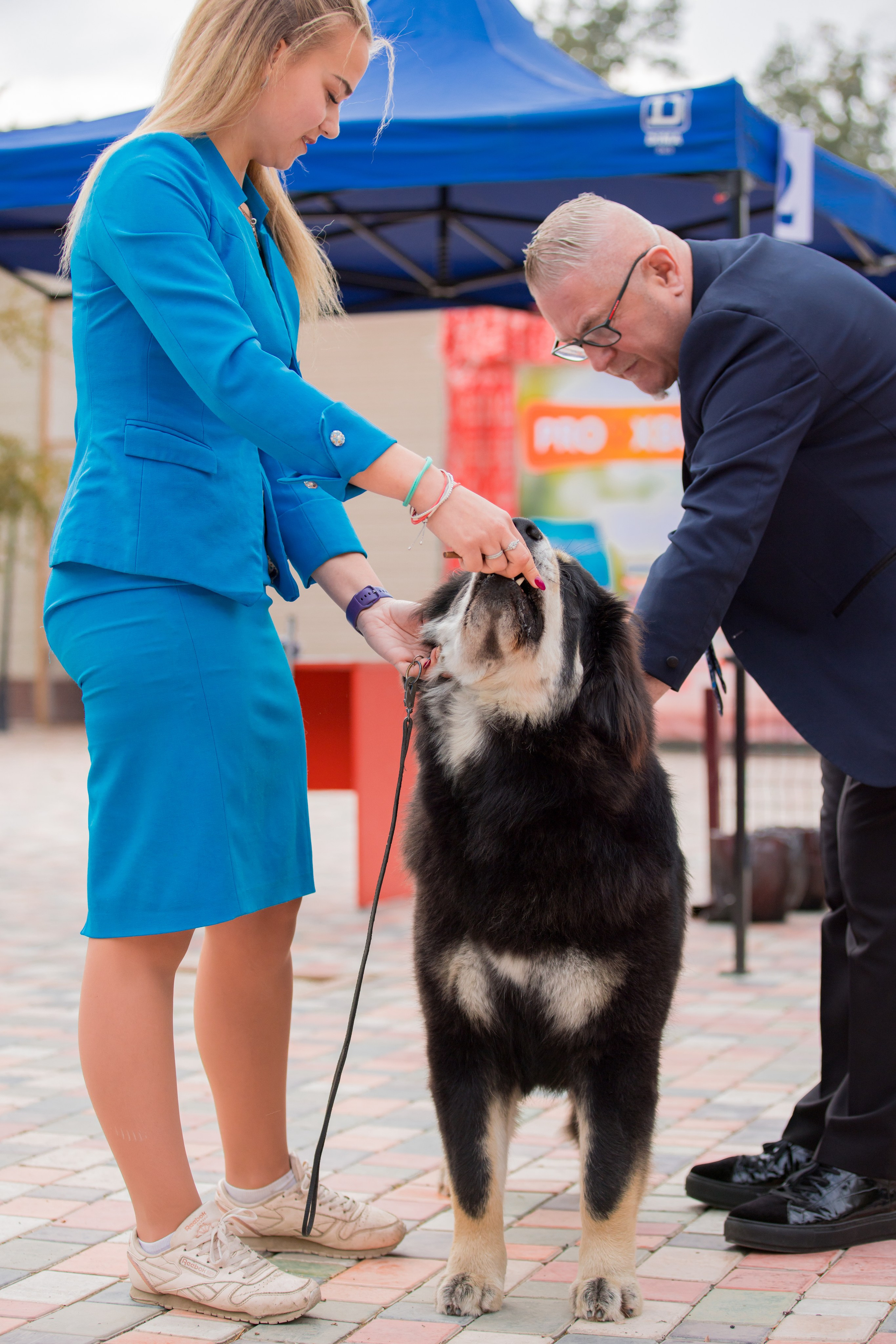 Ташкент 6-8.10.2023 + Алматы 14-15.10.2023. Фотограф-анималист Юлия Германика