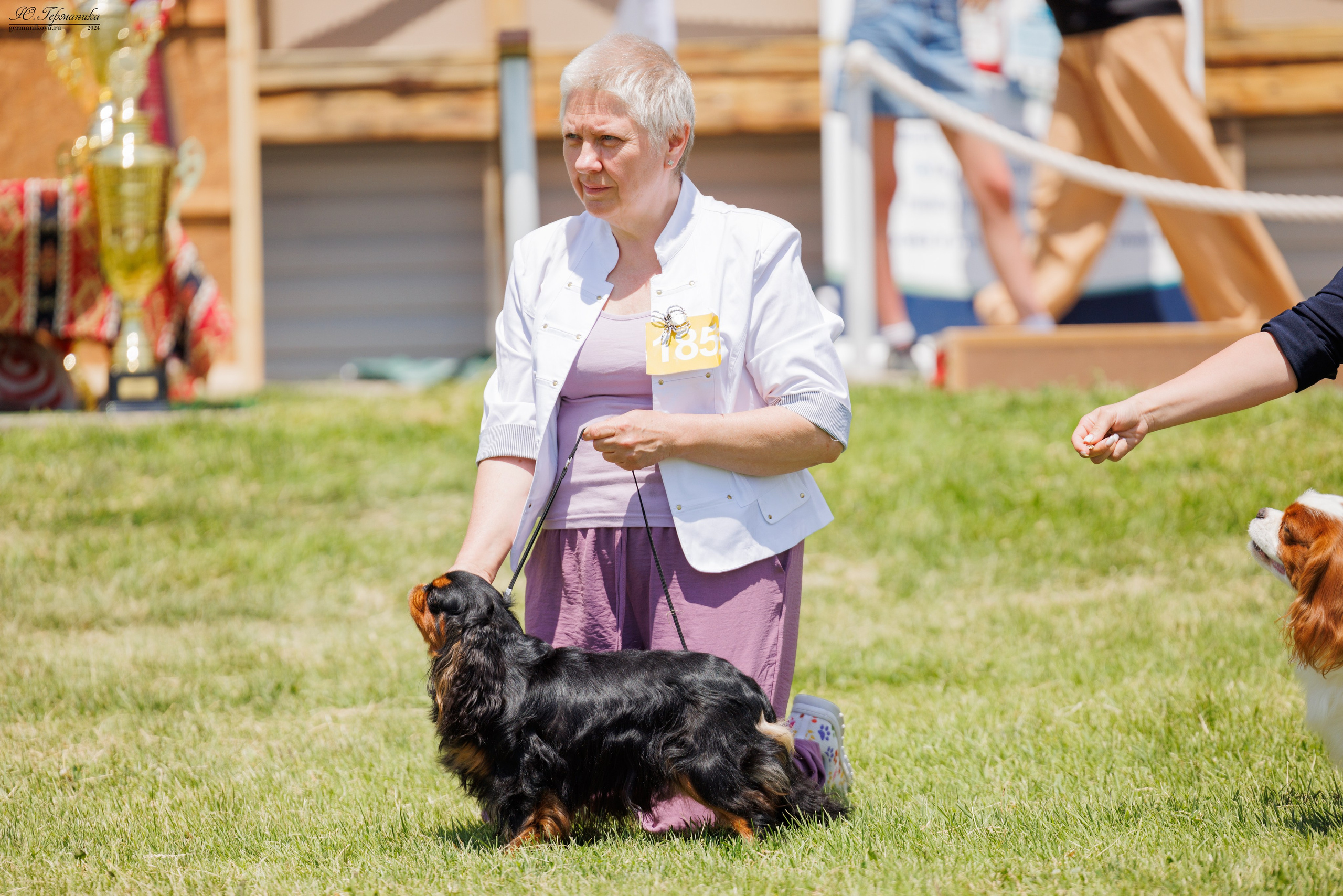 Ереван 3-5.06.2024. Фотограф-анималист Юлия Германика
