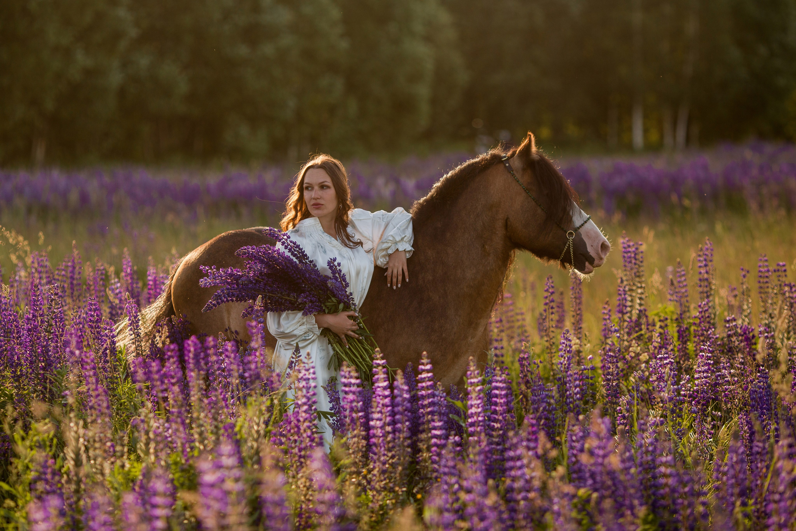 Фотосессия в люпинах с лошадью