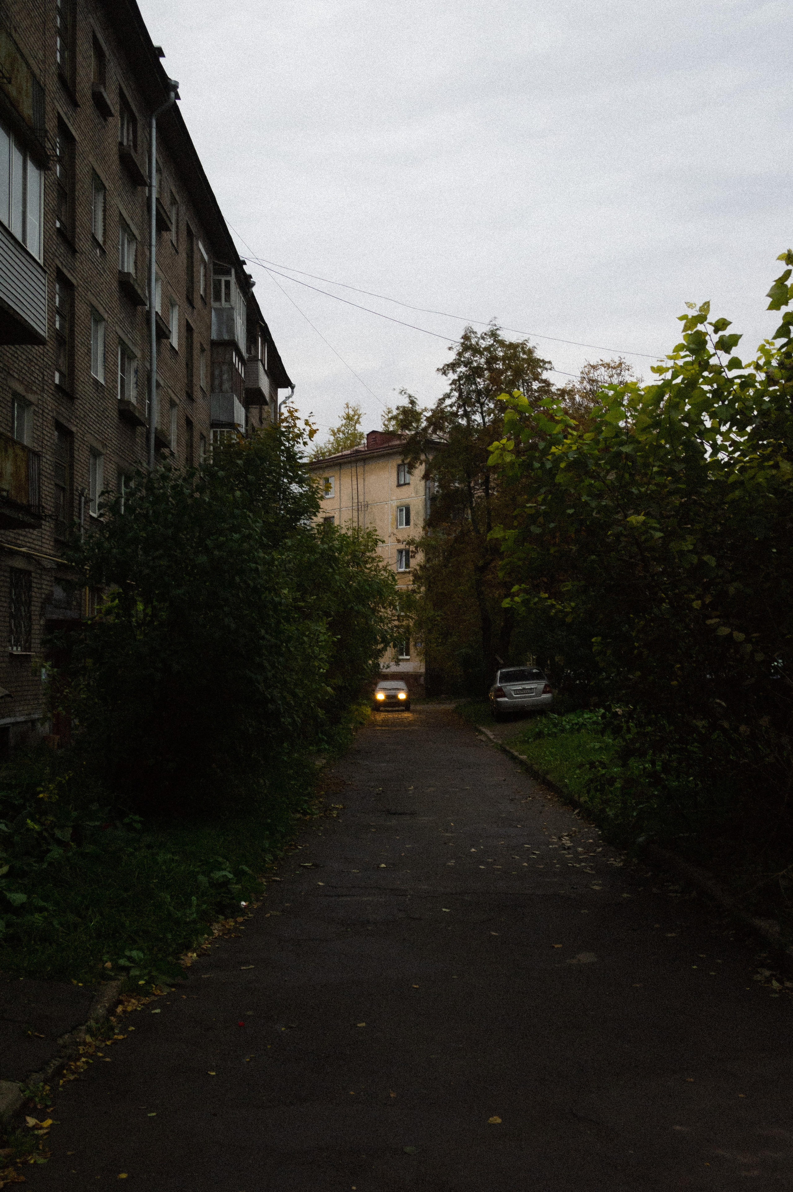 Октябрь 2025. Den Mirov — Фотограф, Музыкант