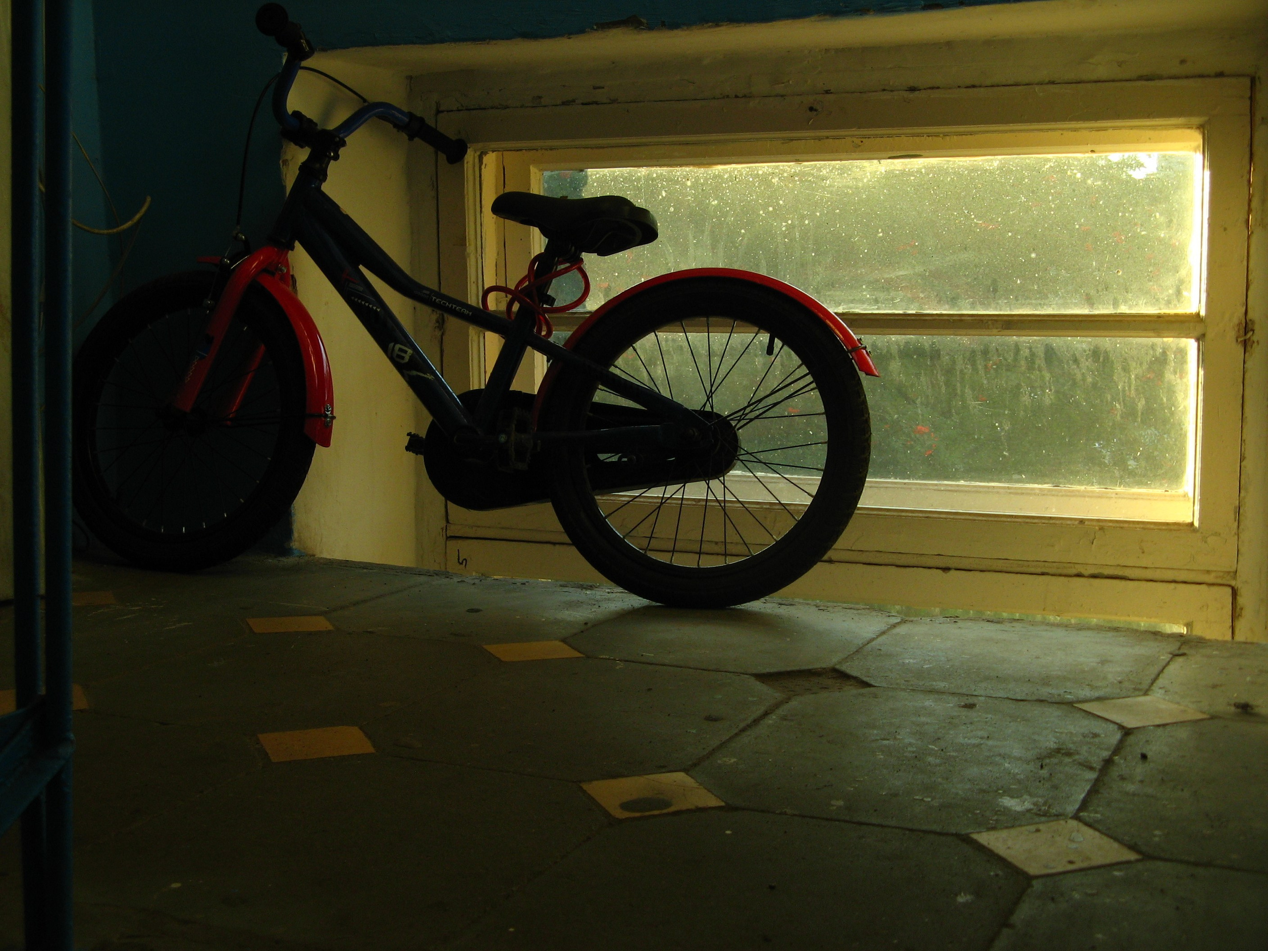 Август 2025. Den Mirov — Фотограф, Музыкант