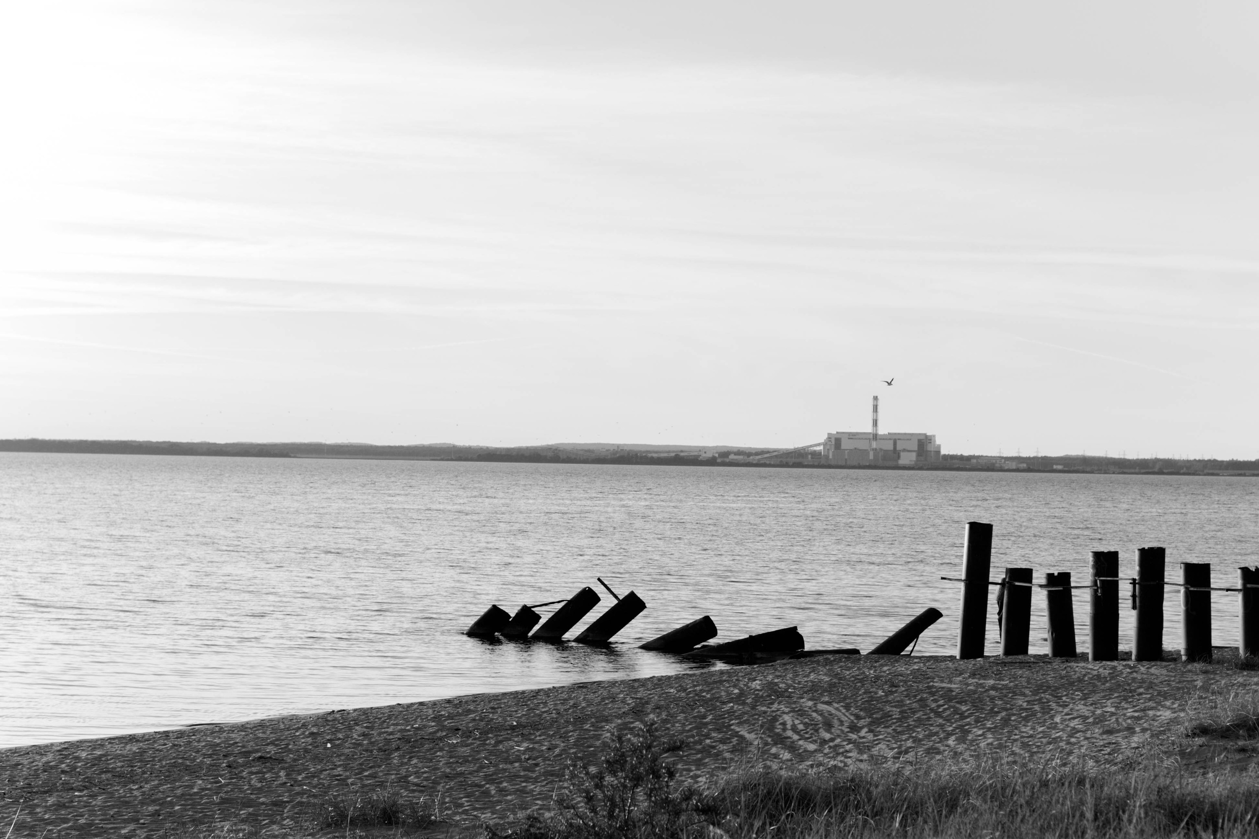Dmitry & Daria. Свадебный и портретный фотограф в Калининграде Наталия Еник
