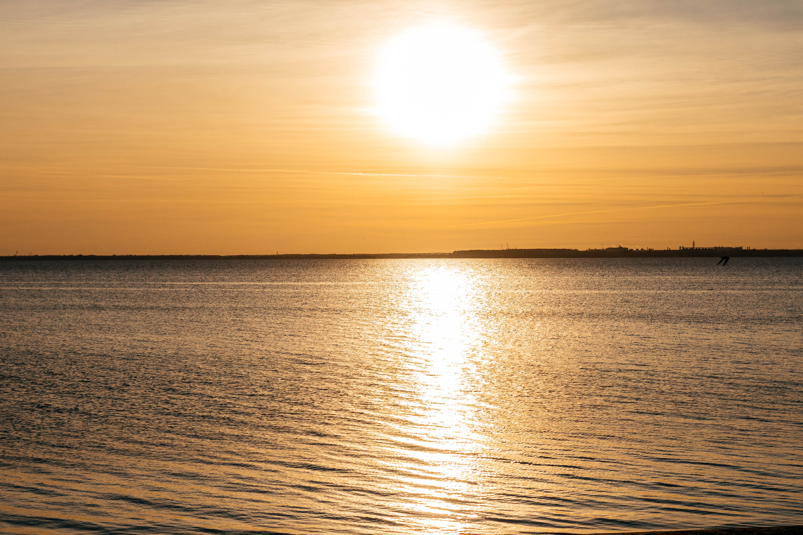 Dmitry & Daria. Свадебный и портретный фотограф в Калининграде Наталия Еник