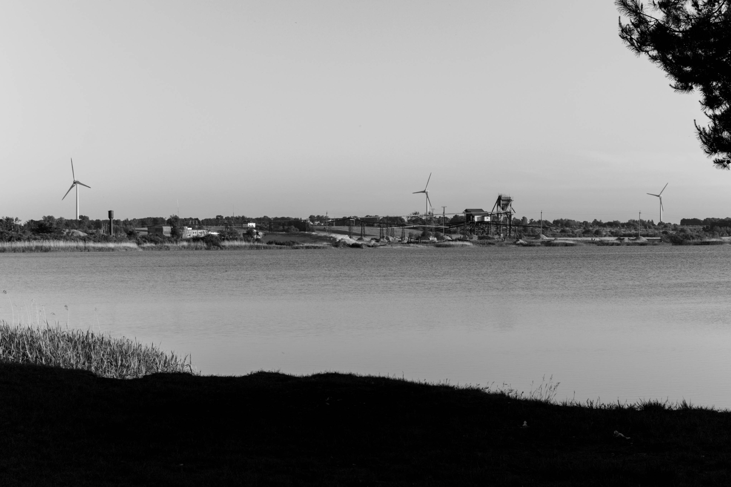 Dmitry & Daria. Свадебный и портретный фотограф в Калининграде Наталия Еник