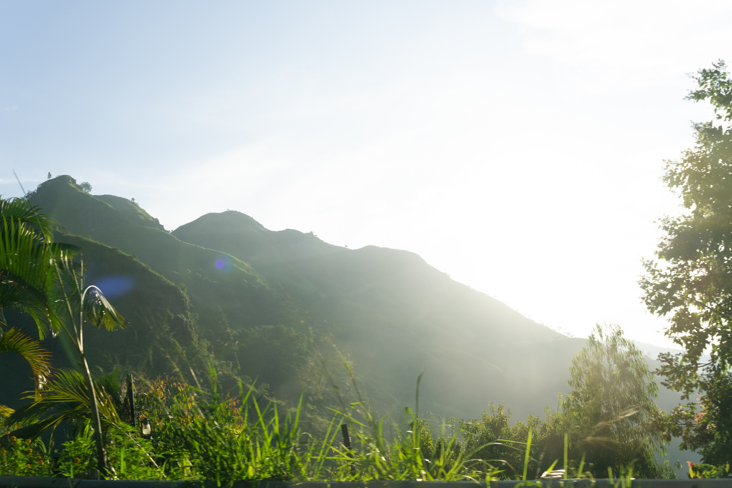 Пейзаж. Главная