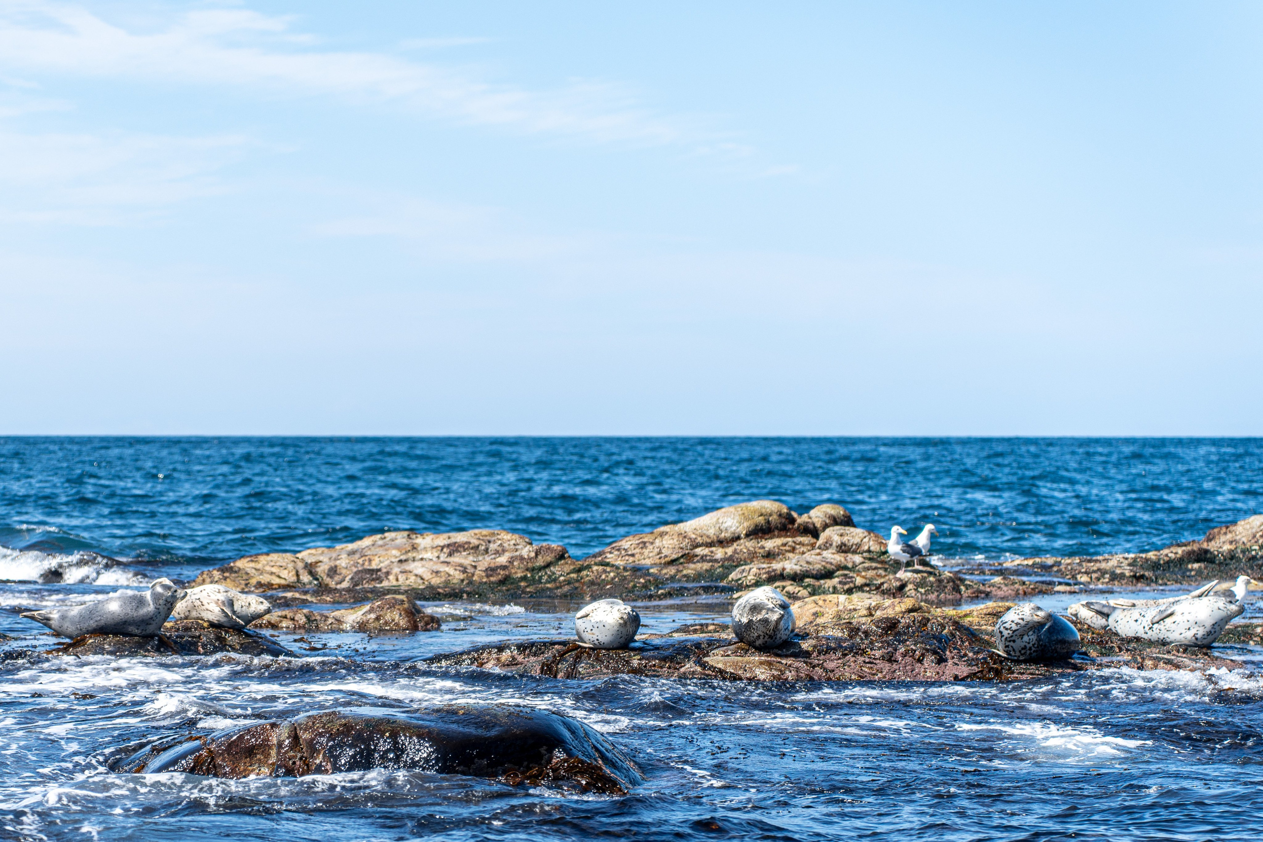 Сахалин 2025. Творческие сьемки