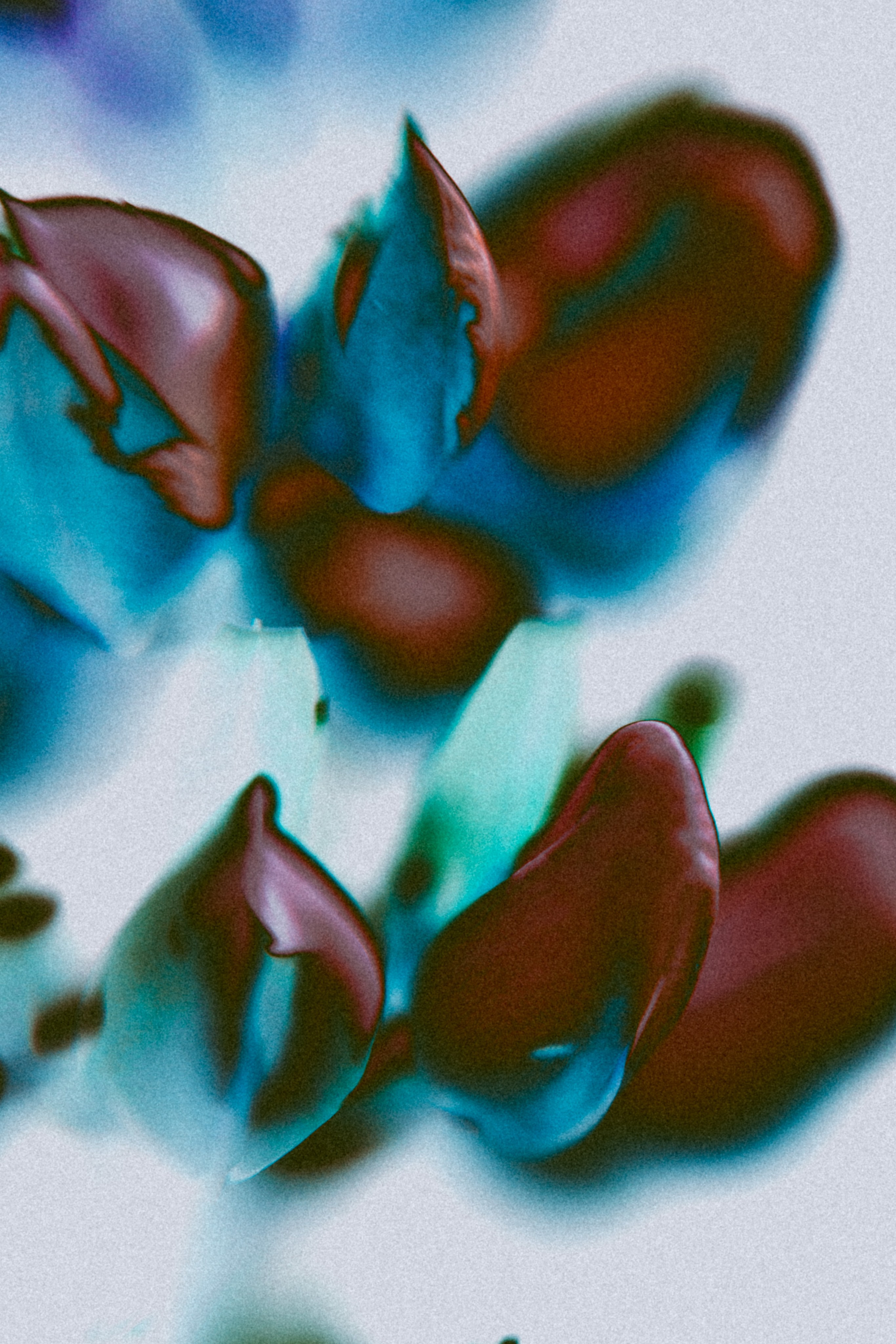 NON-EXISTENT FLOWERS. Фотограф Евгений Чащихин RGB АРХИТЕКТОР в Перми