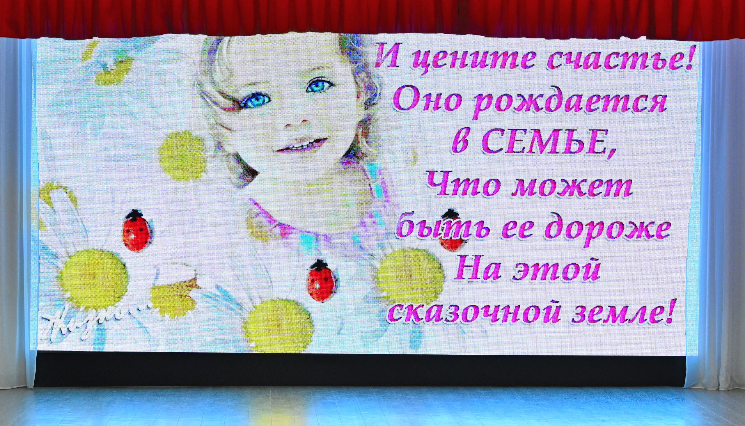 2025-11-21 День семьи 127. Снежинск фото Андрианов