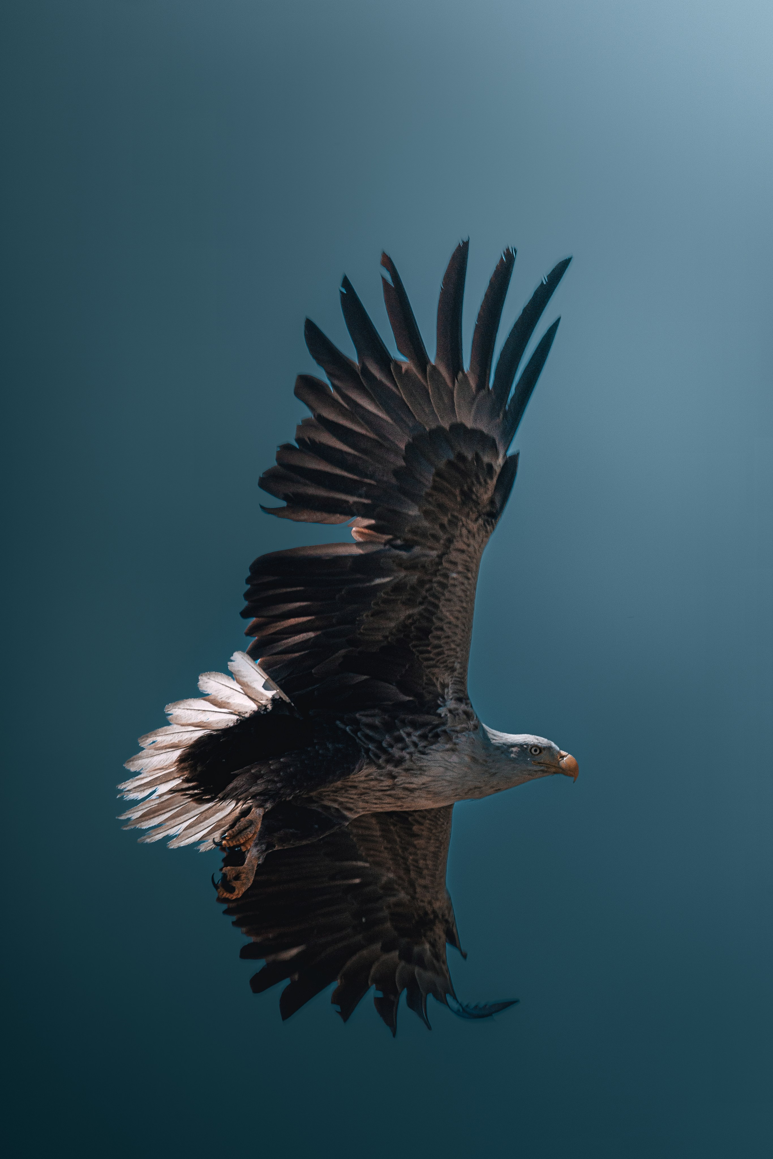 Астраханская область 2025 | Фотограф Дмитрий Купрацевич. Дмитрий Купрацевич профессиональный пейзажный и travel-фотограф