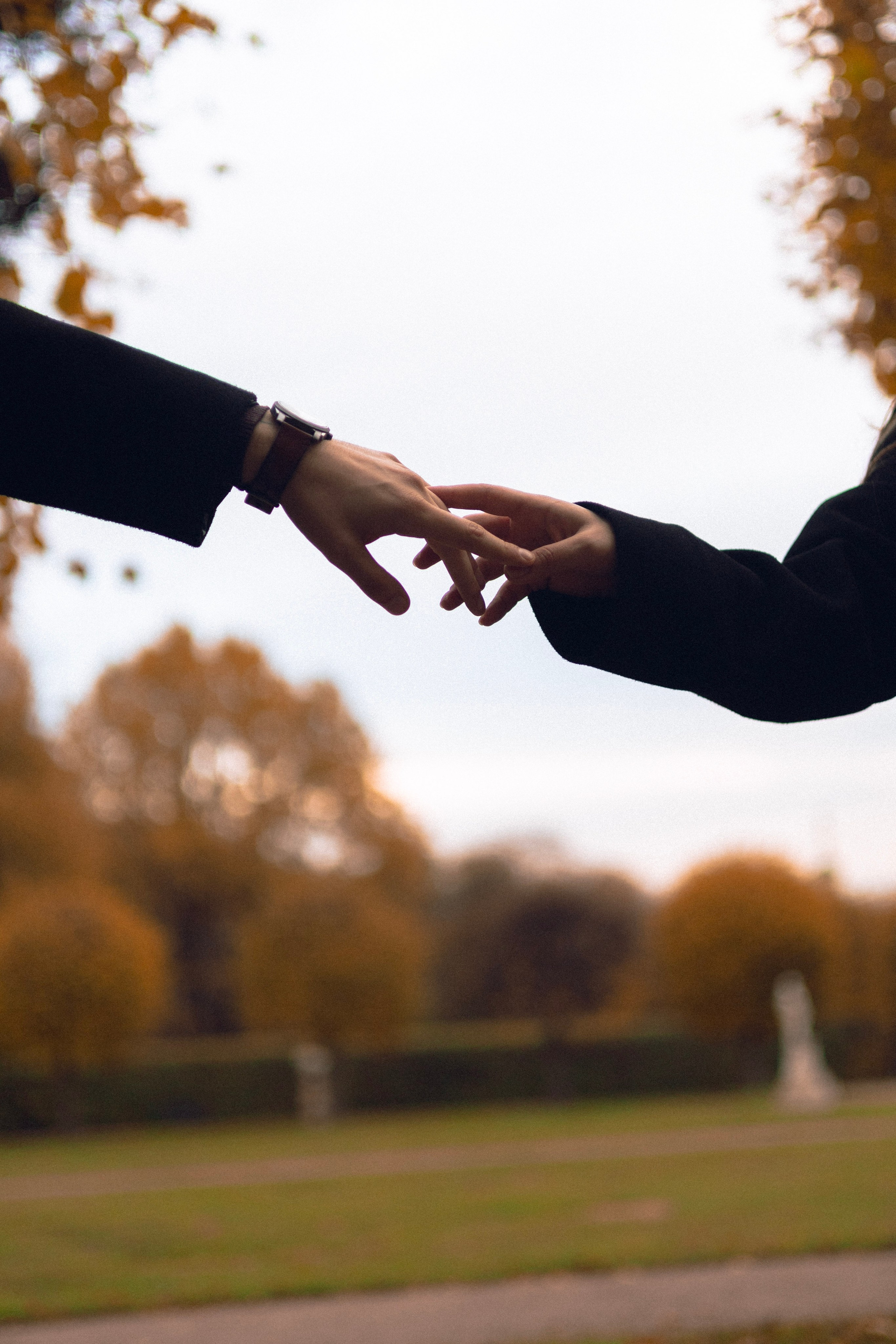 Family / Love story. Поликарпова София. Фотограф из Москвы