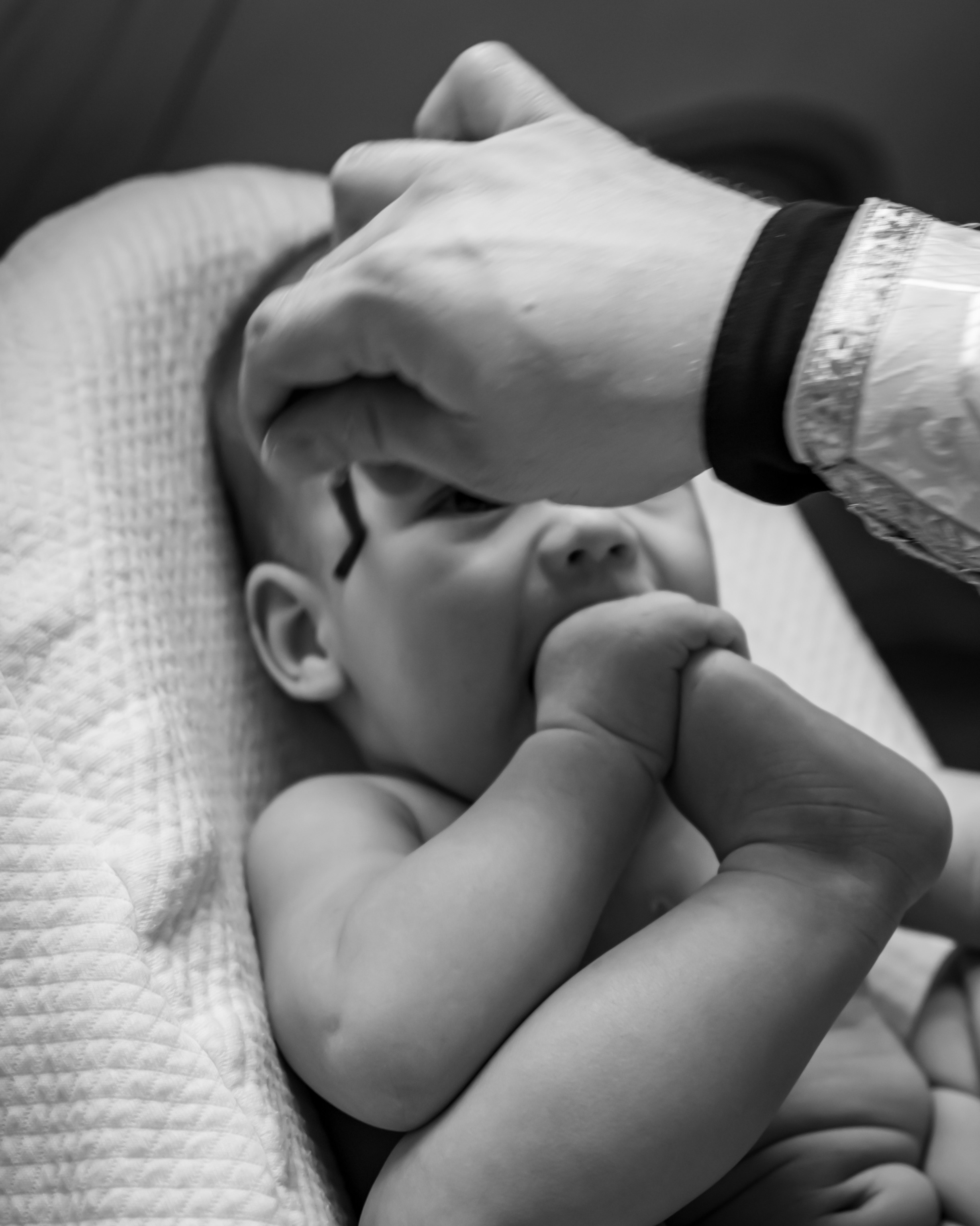 Тимофей. Фотограф Москва