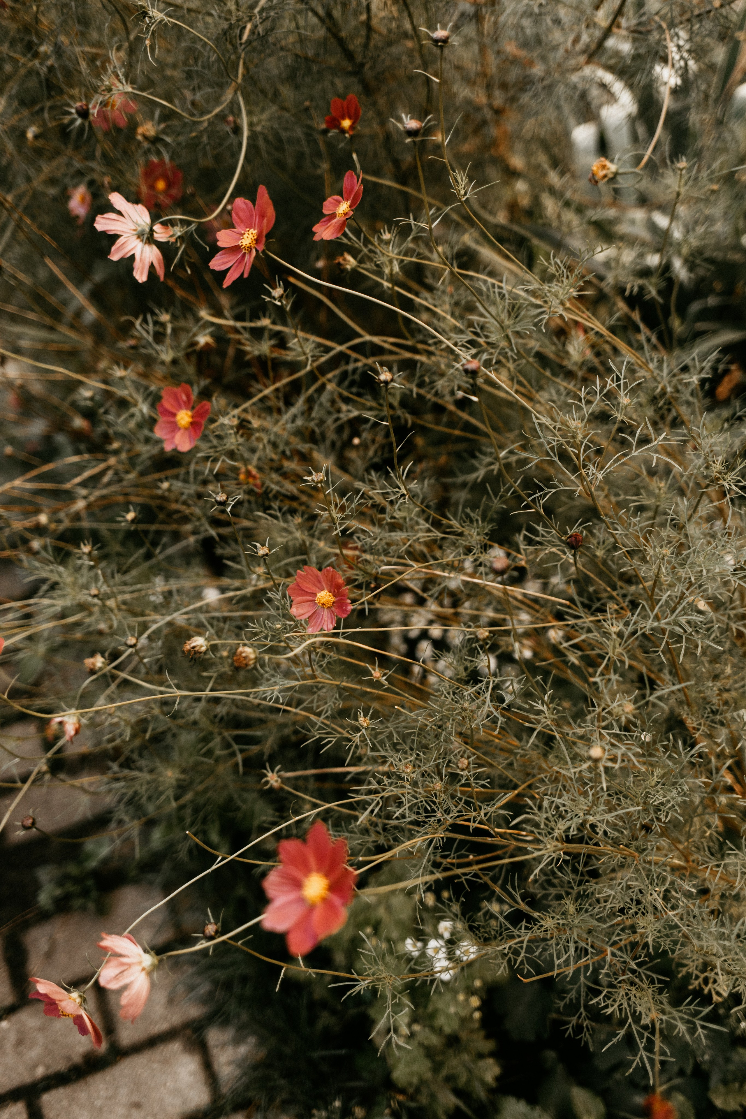 Фотографы Калининграда. Семейный детский фотограф в Калининграде Анна Каратай
