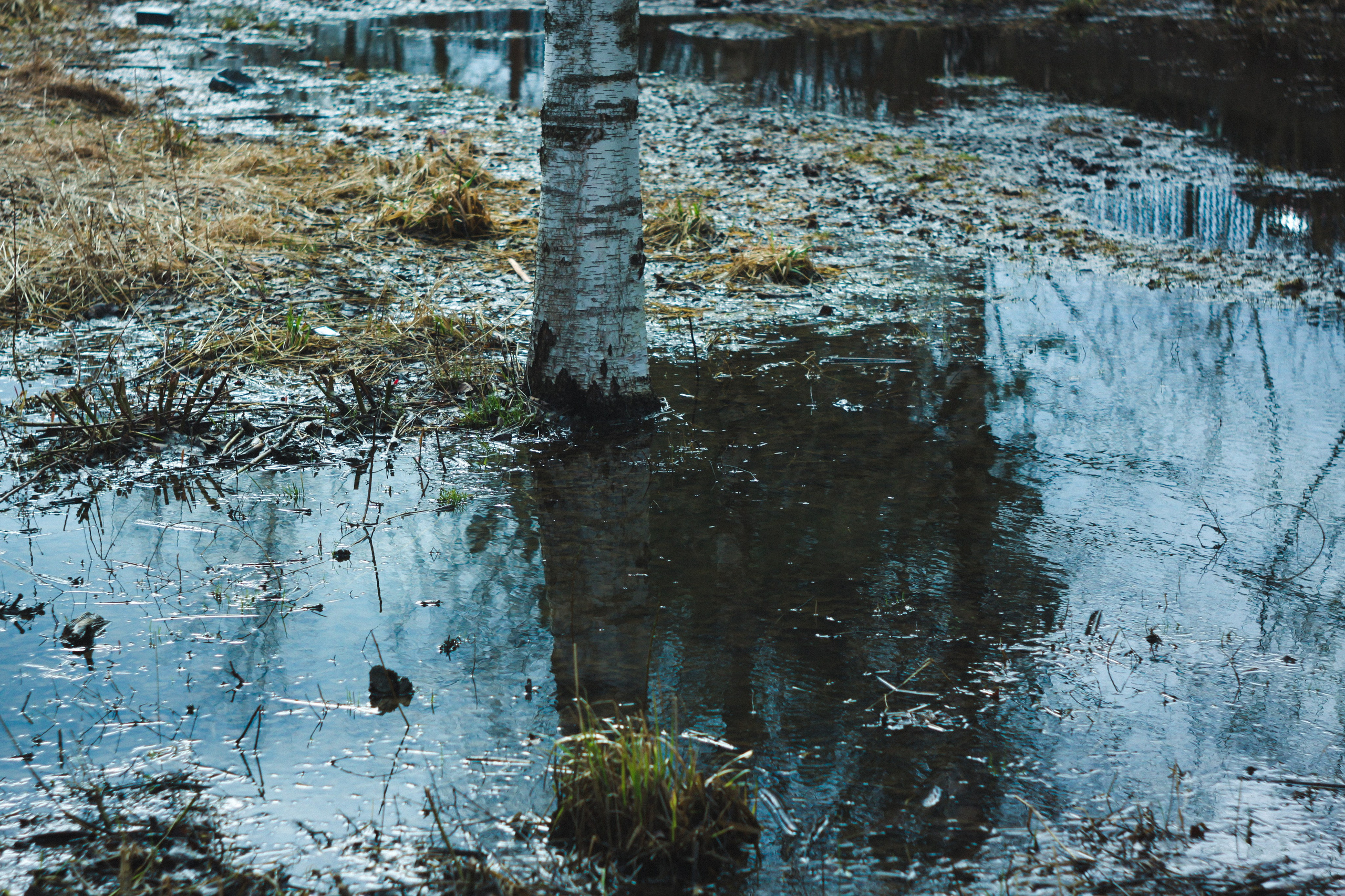 Градус смелости. Den Mirov — Фотограф, Музыкант