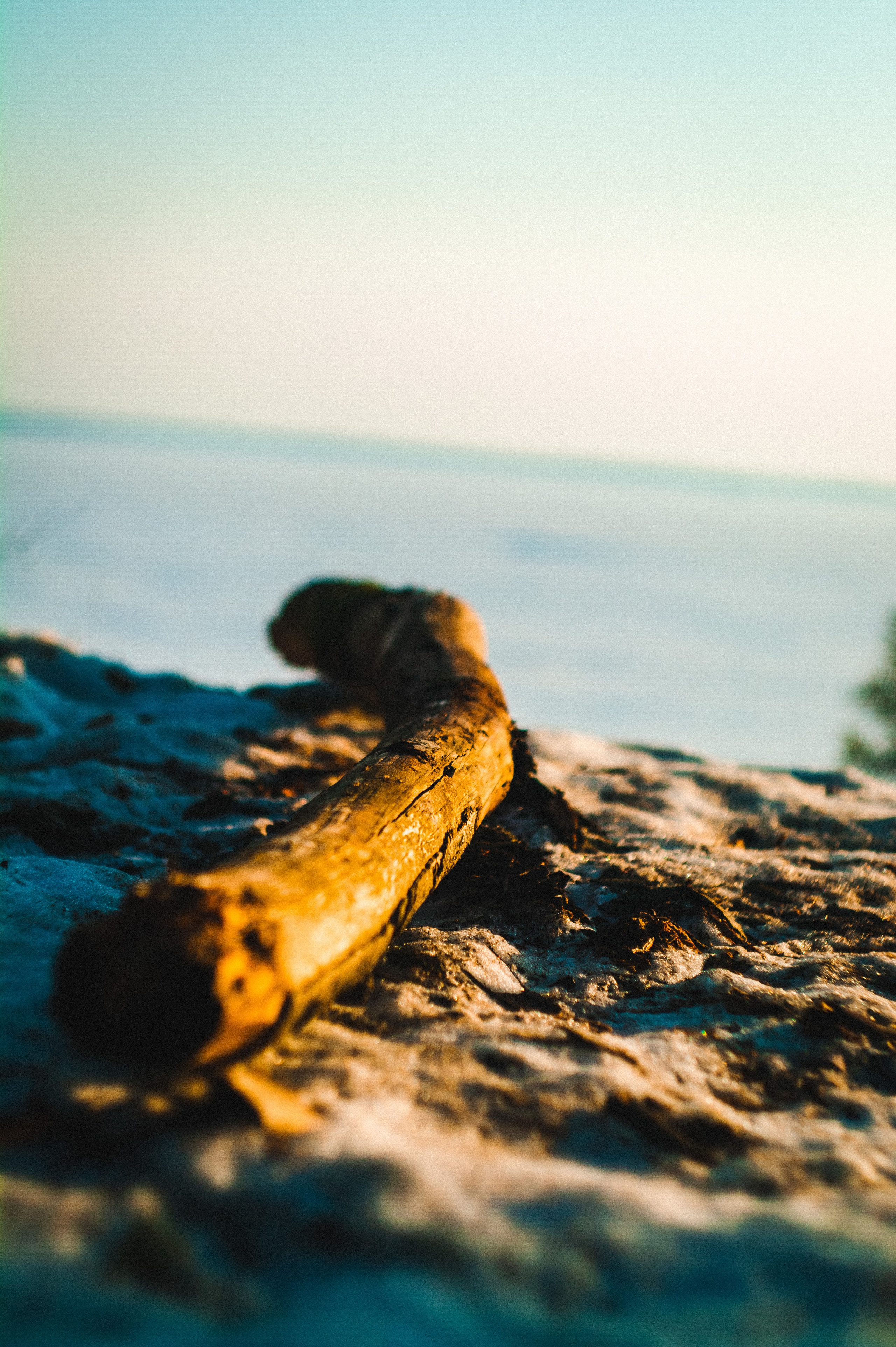 Narcissist. Den Mirov — Photographer, Musician