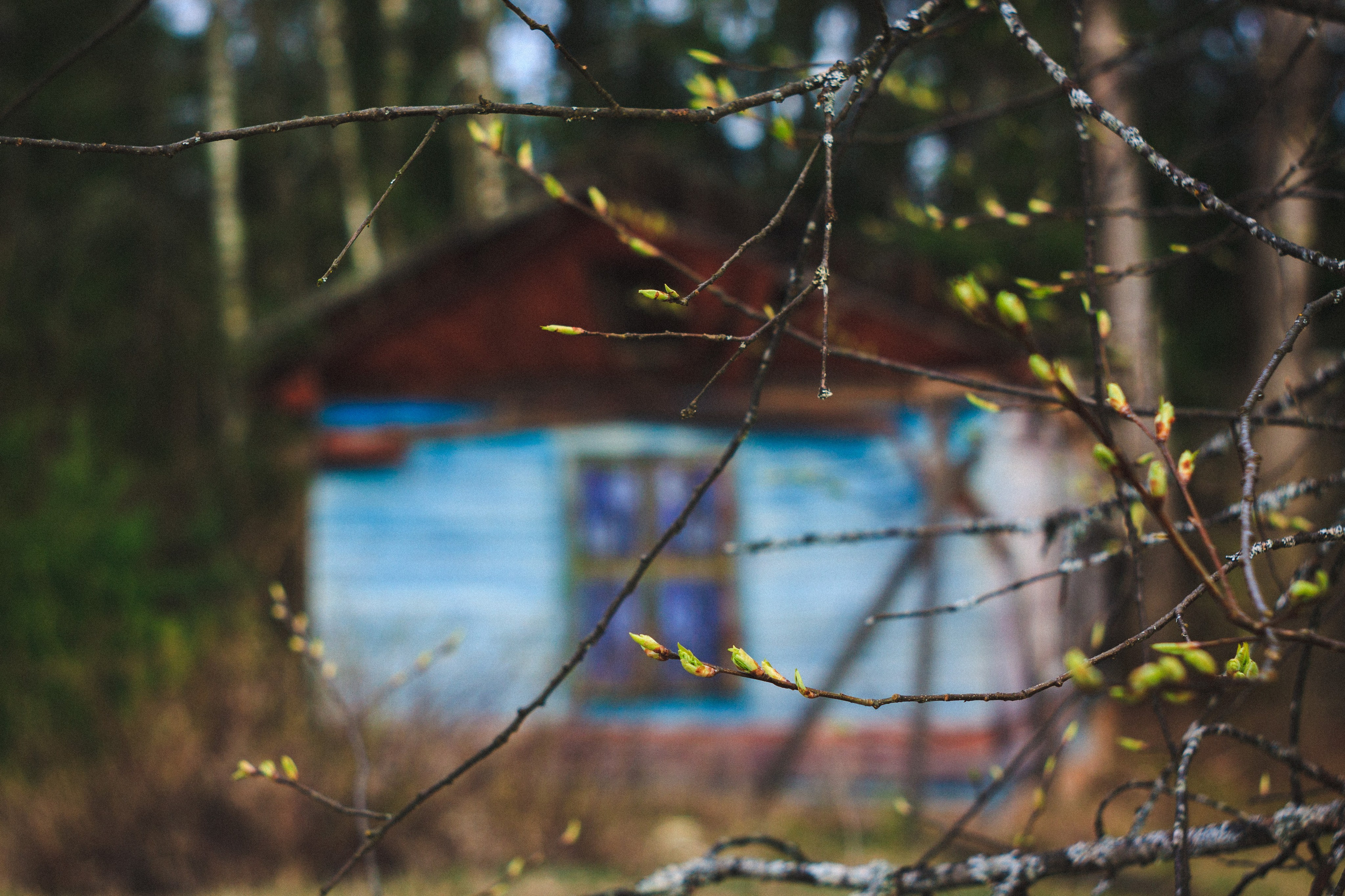 Glimpse. Den Mirov — Photographer, Musician