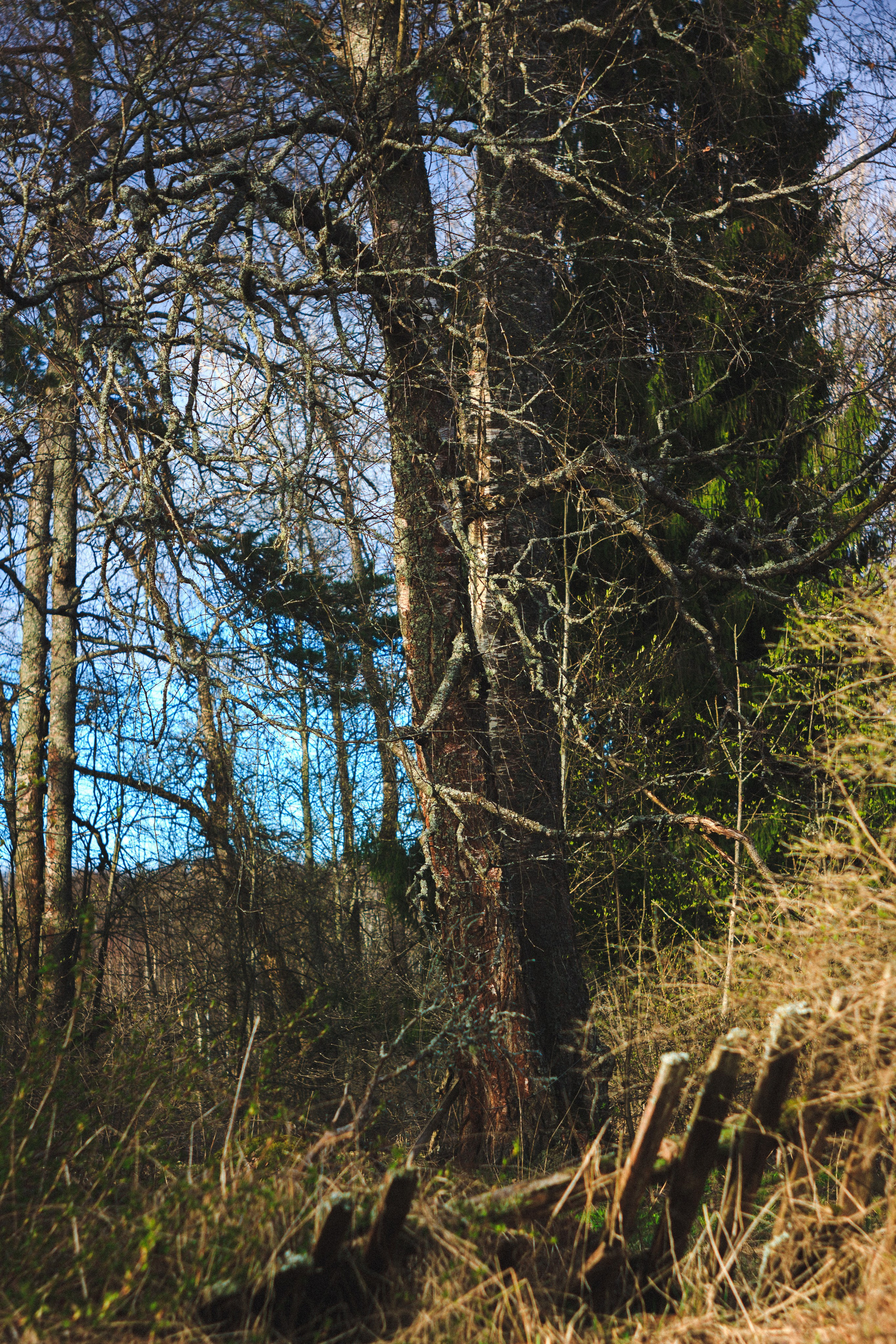 Деревня. Den Mirov — Photographer, Musician