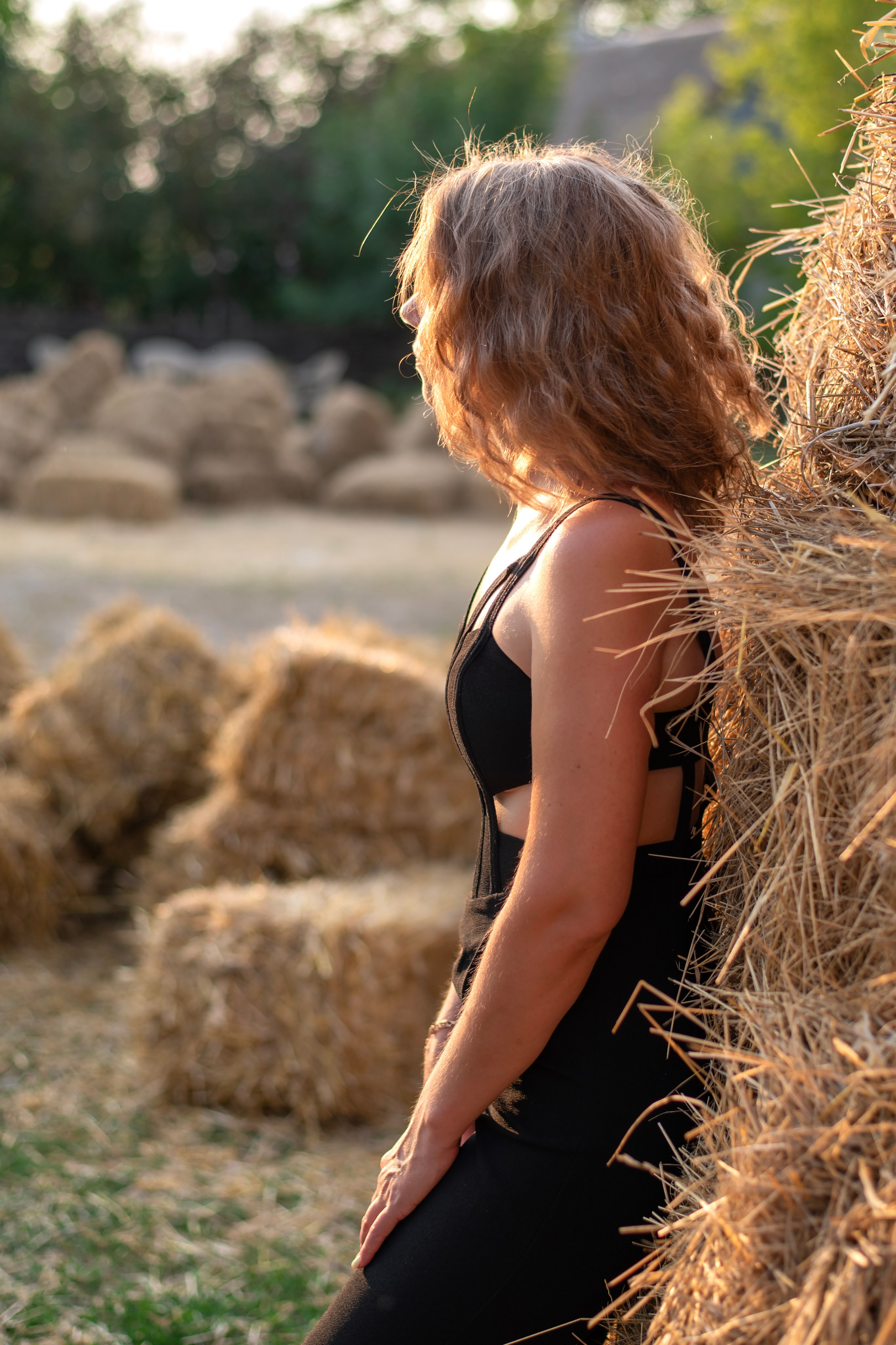 Леди и лошадь. Главная