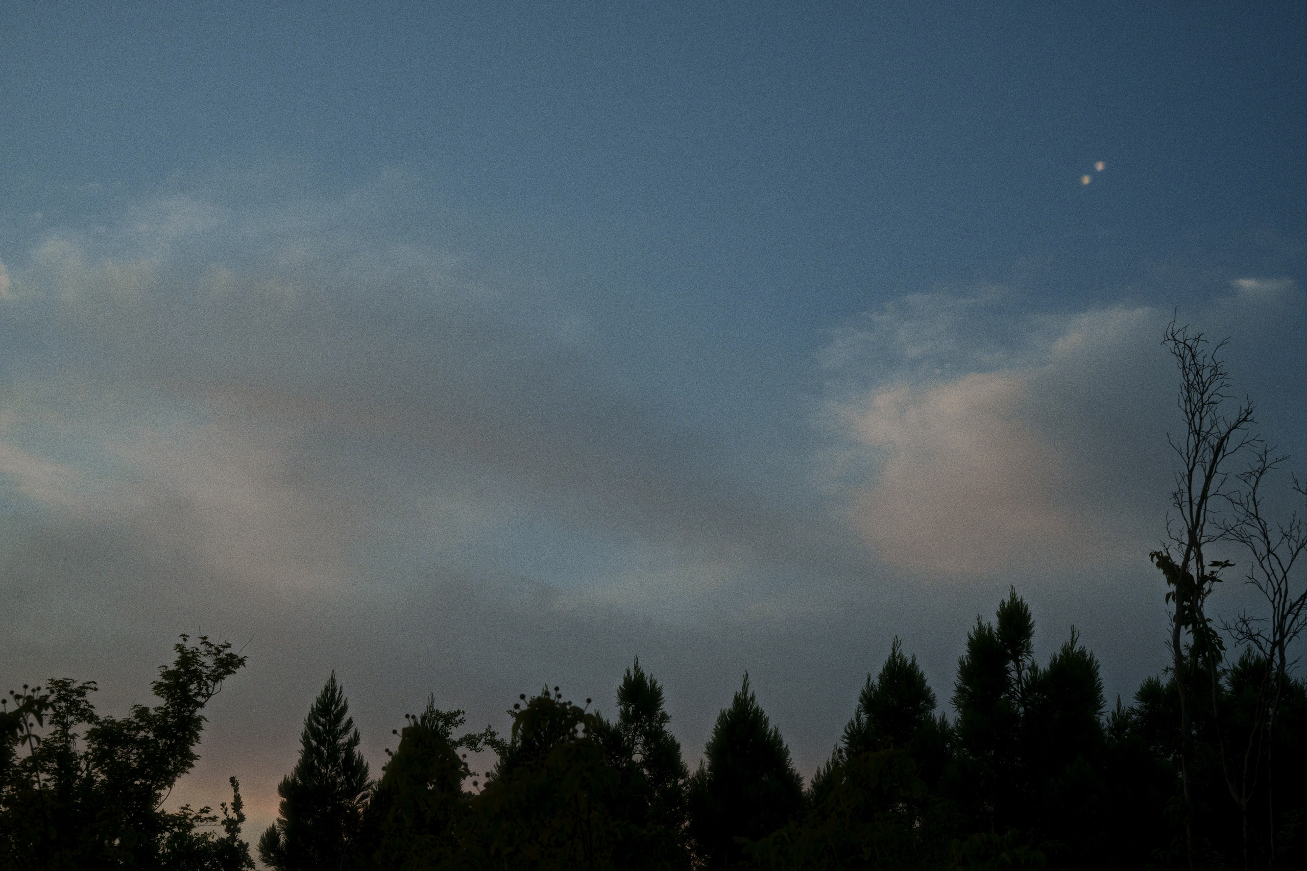 Ryotei x kudo. Фотограф Юрин Евгений