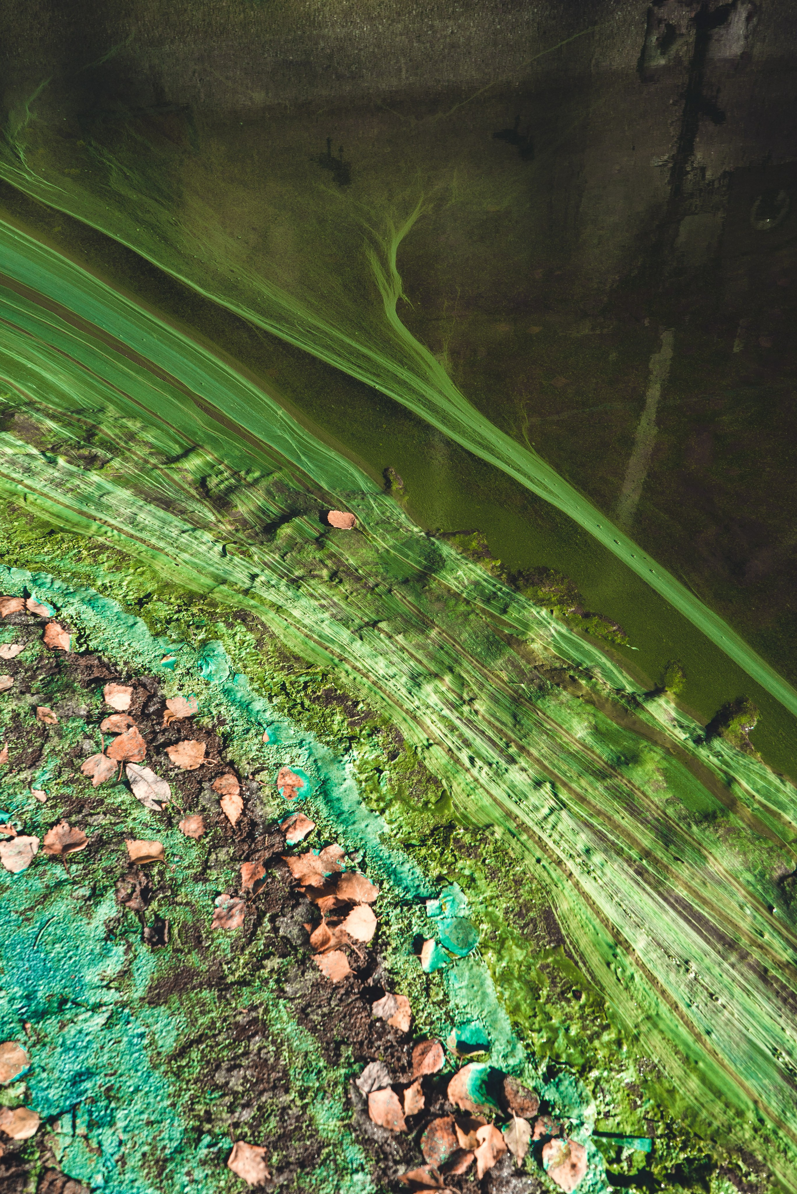 Абстрактный крупный план ярких зеленых закрученных текстур и земляных деталей, демонстрирующих органические узоры с опавшими листьями и мохоподобными образованиями. Динамичное сочетание природных элементов в зеленых, коричневых и нежных земляных тонах вызывает ощущение движения и природы, идеально подходит для художественных принтов и вдохновленного природой внутреннего декора. Идеально подходит для современных пространств, ищущих свежую, земляную эстетику.