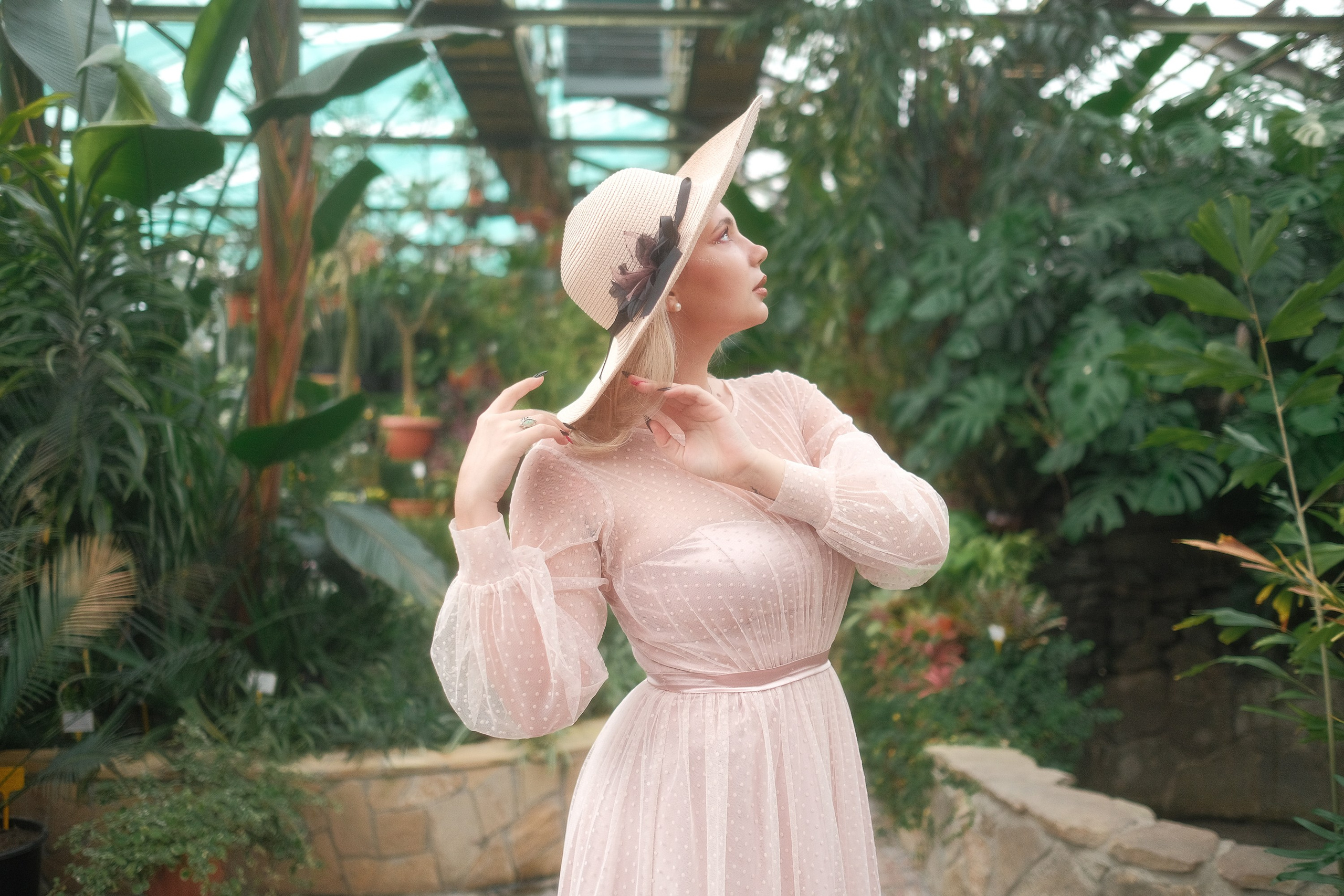 Greenhouse. Aleksandr Schafft